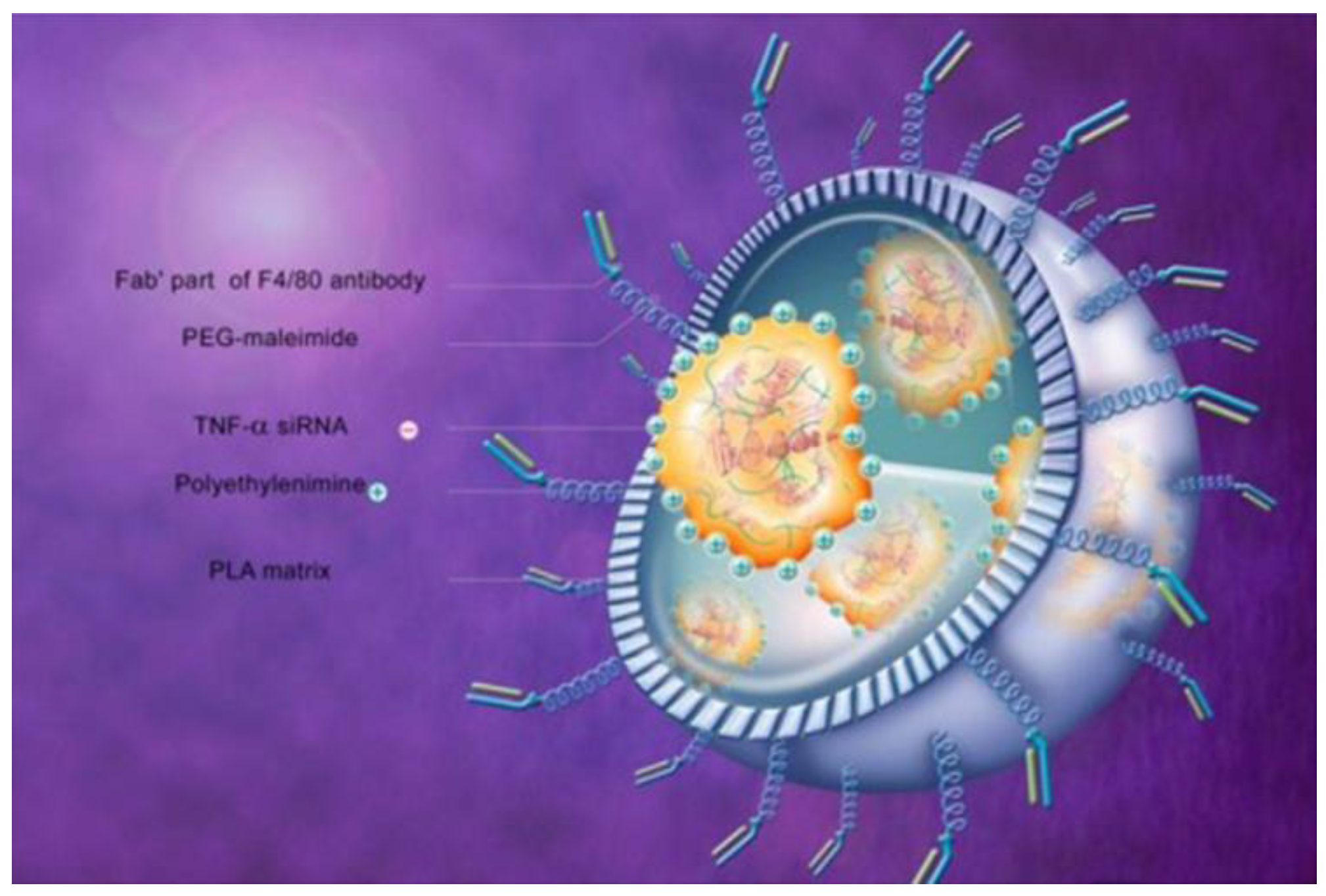 Pharmaceutics 12 00539 g004