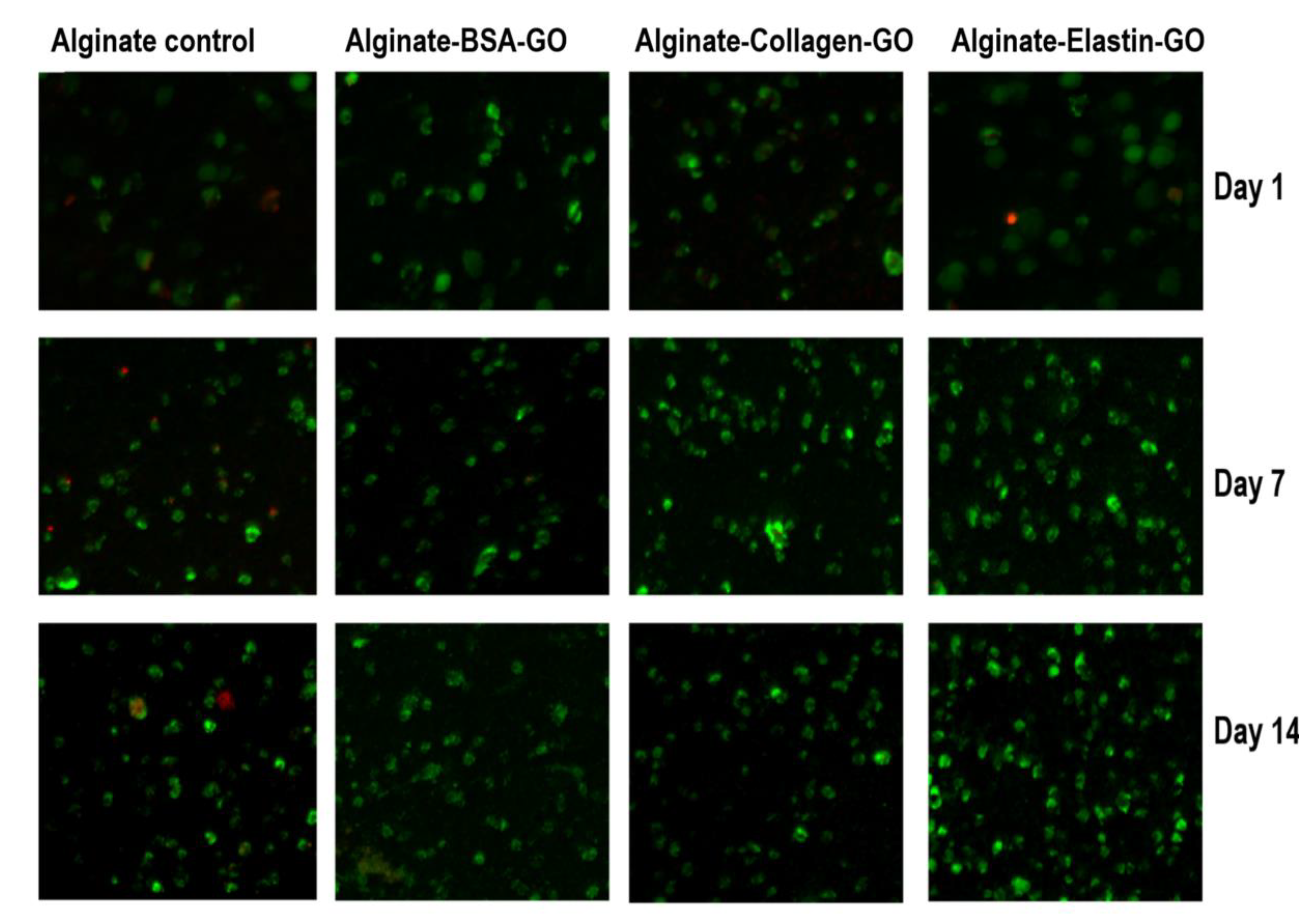 Pharmaceutics 12 00543 g009