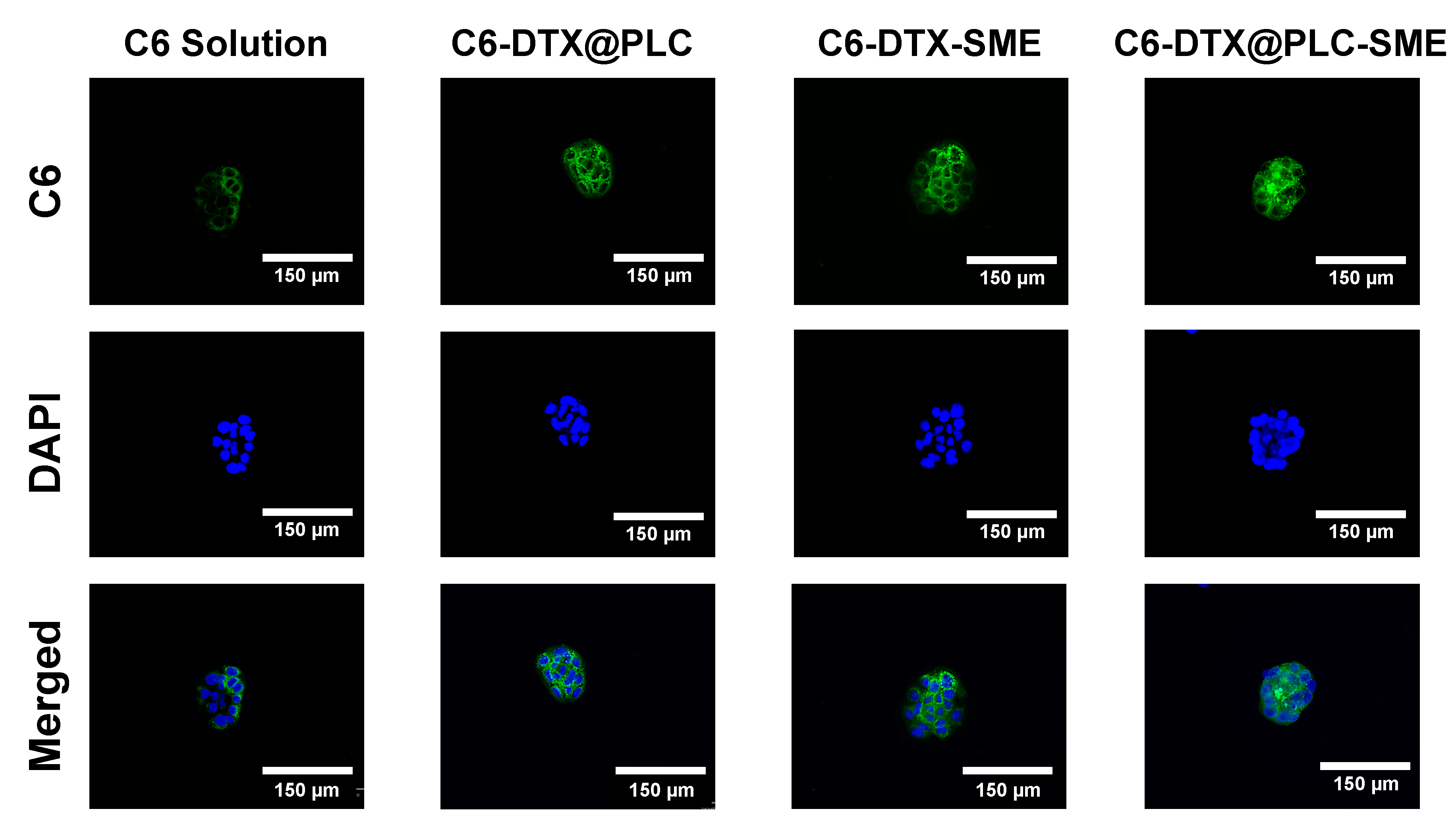 Pharmaceutics 12 00544 g008 Pharmaceutics 12 00544 g008