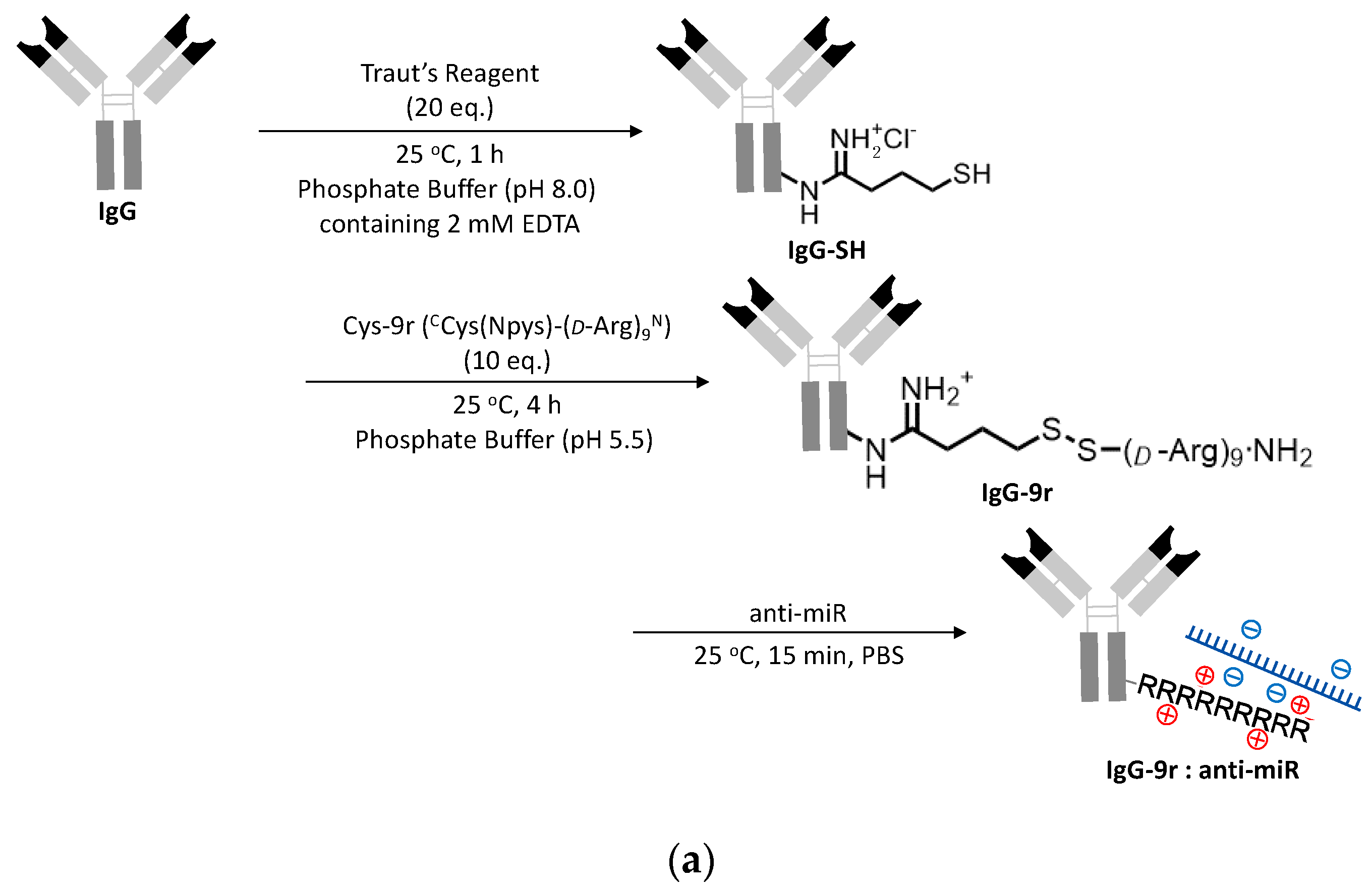 Pharmaceutics 12 00545 g003a Pharmaceutics 12 00545 g003a