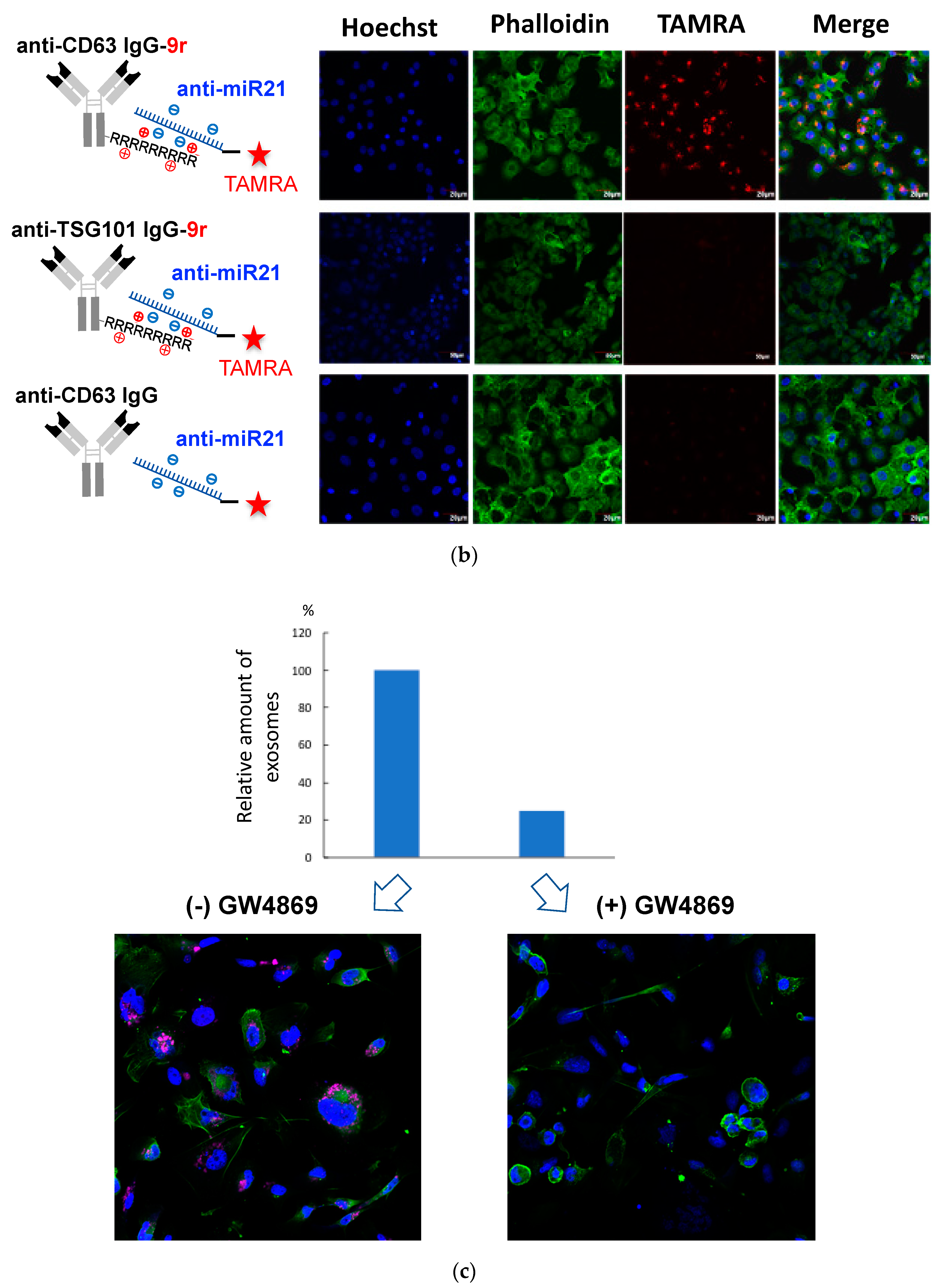 Pharmaceutics 12 00545 g003b Pharmaceutics 12 00545 g003b