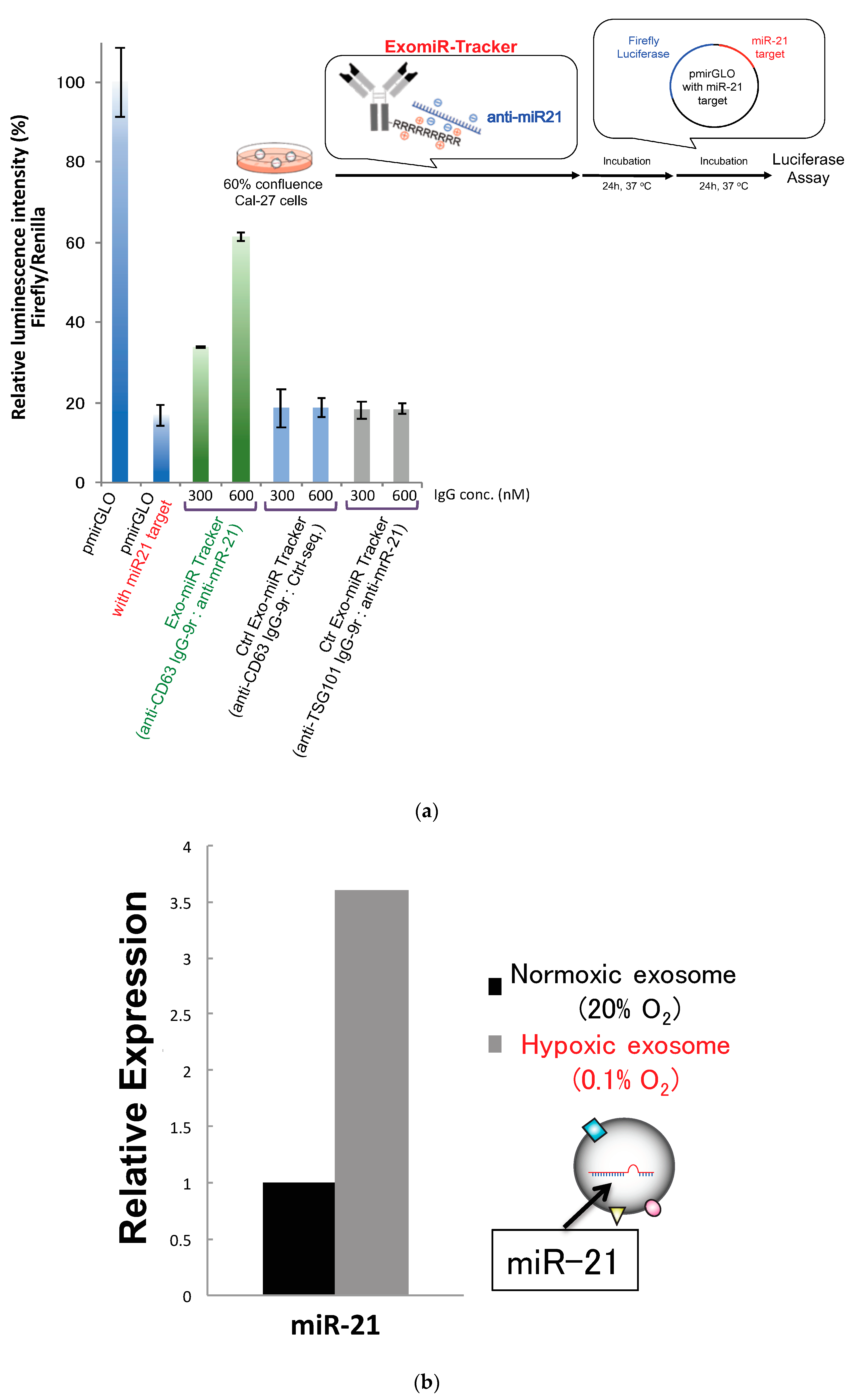 Pharmaceutics 12 00545 g004a Pharmaceutics 12 00545 g004a