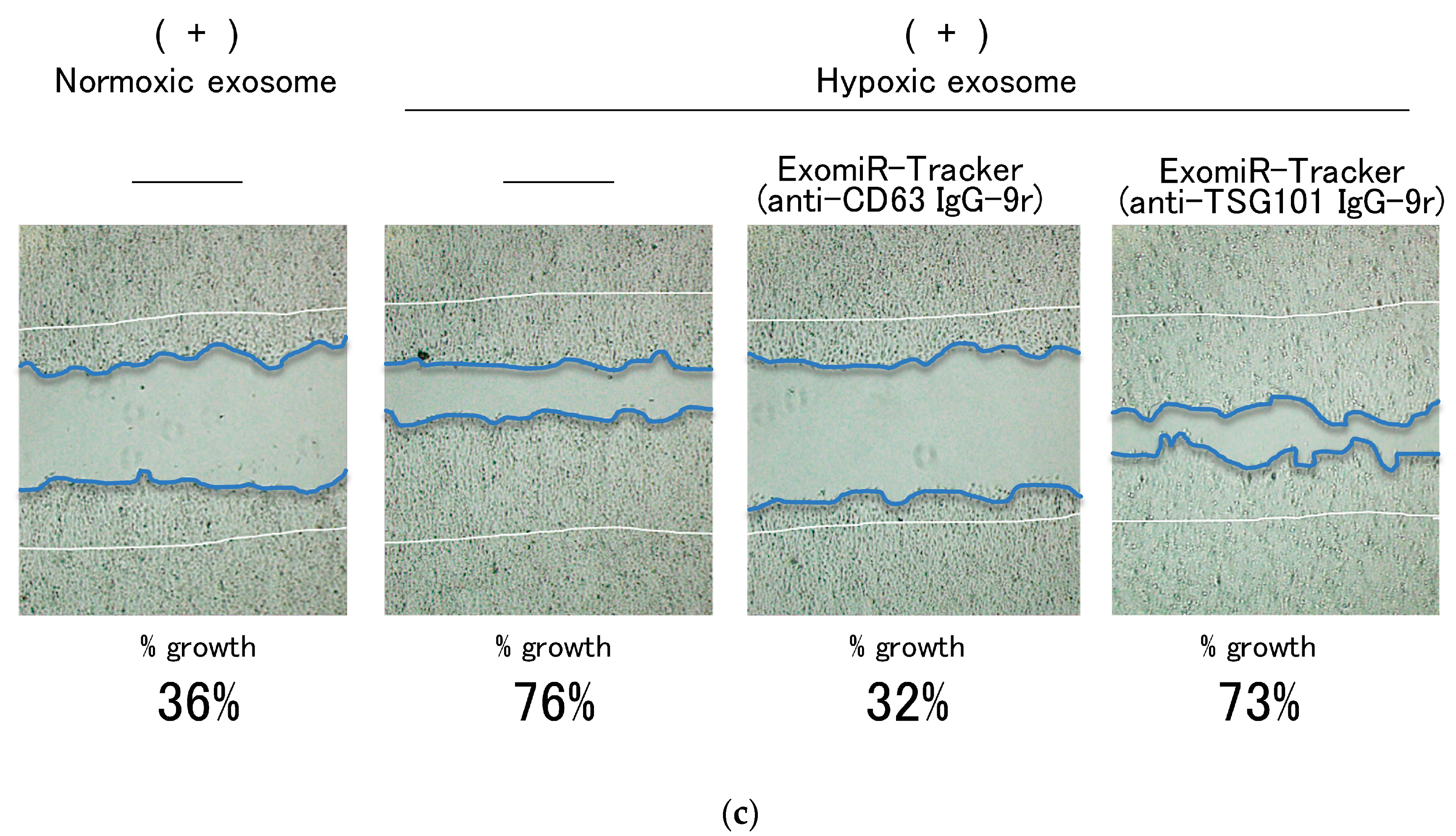 Pharmaceutics 12 00545 g004b Pharmaceutics 12 00545 g004b