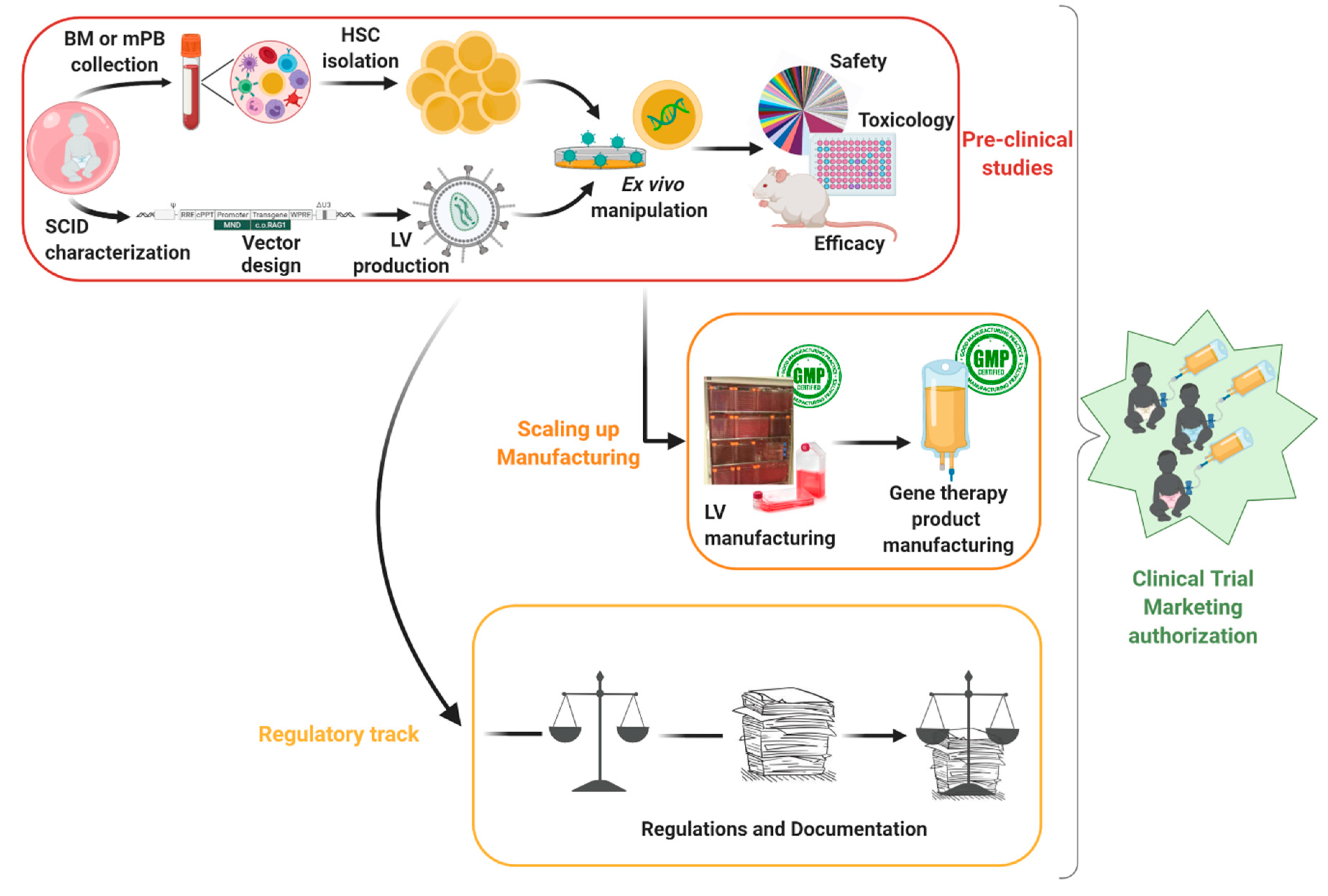 Pharmaceutics 12 00549 g001
