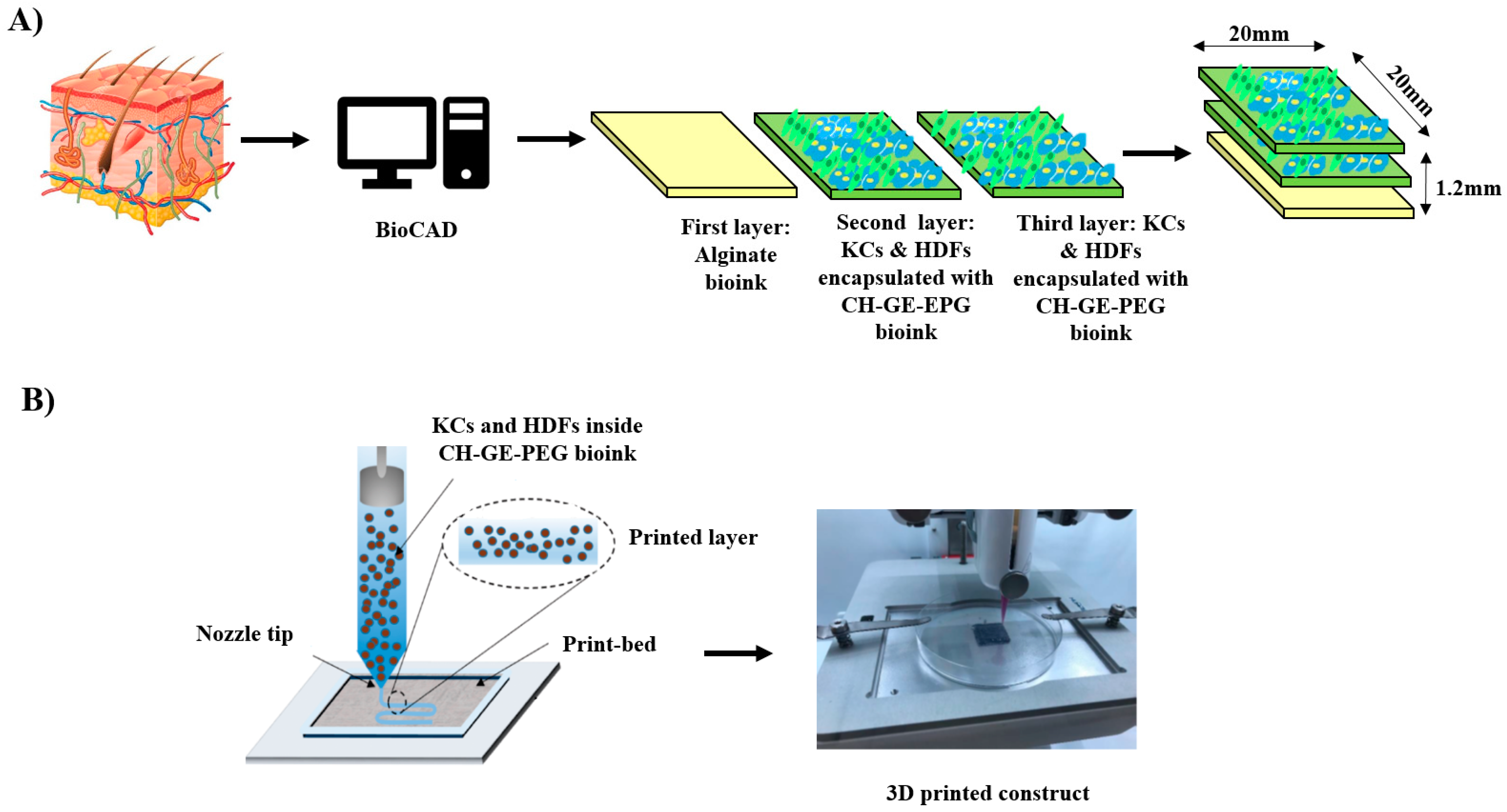 Pharmaceutics 12 00550 g001 Pharmaceutics 12 00550 g001