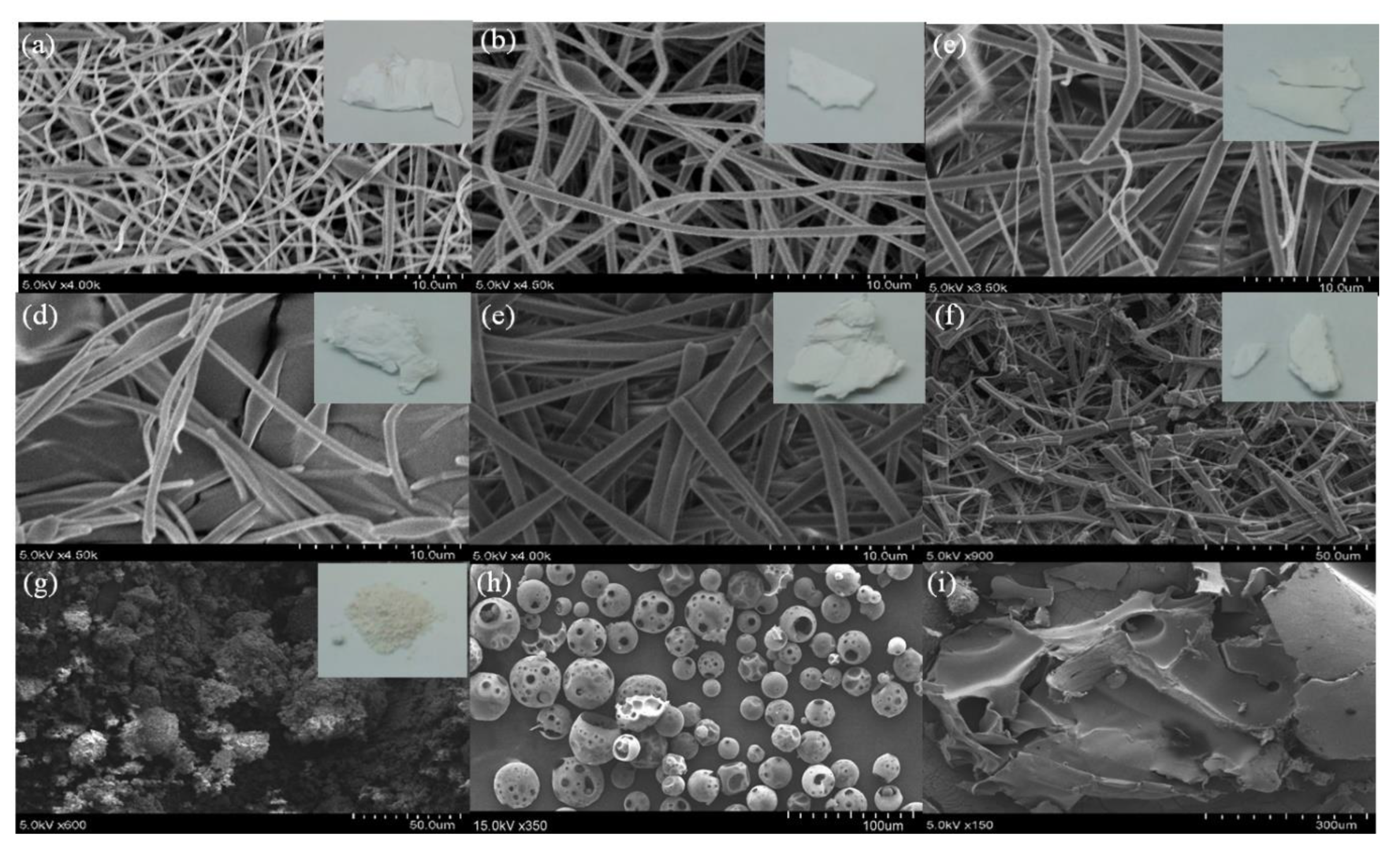 Pharmaceutics 12 00552 g002