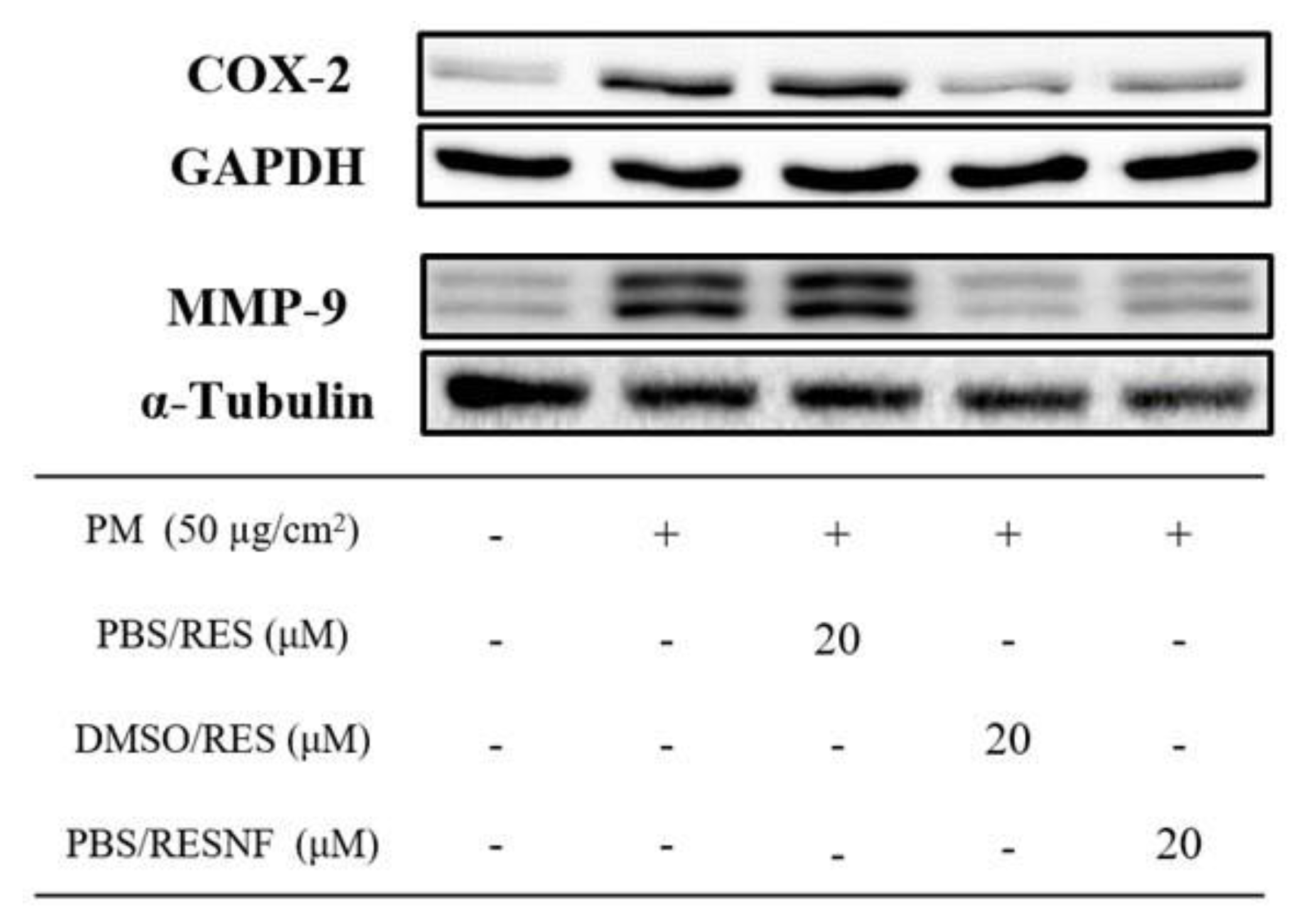 Pharmaceutics 12 00552 g009