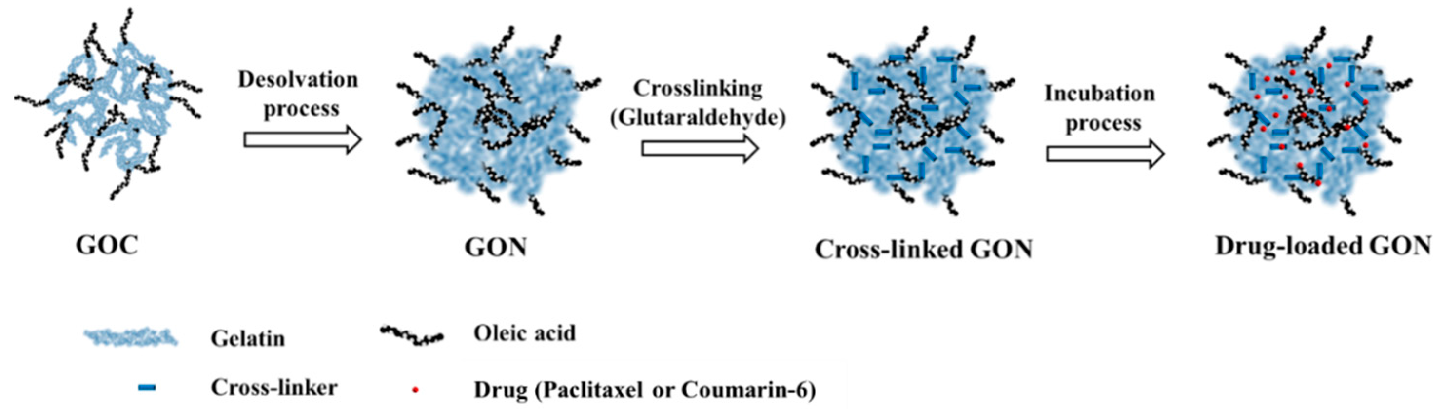 Pharmaceutics 12 00555 g001 Pharmaceutics 12 00555 g001
