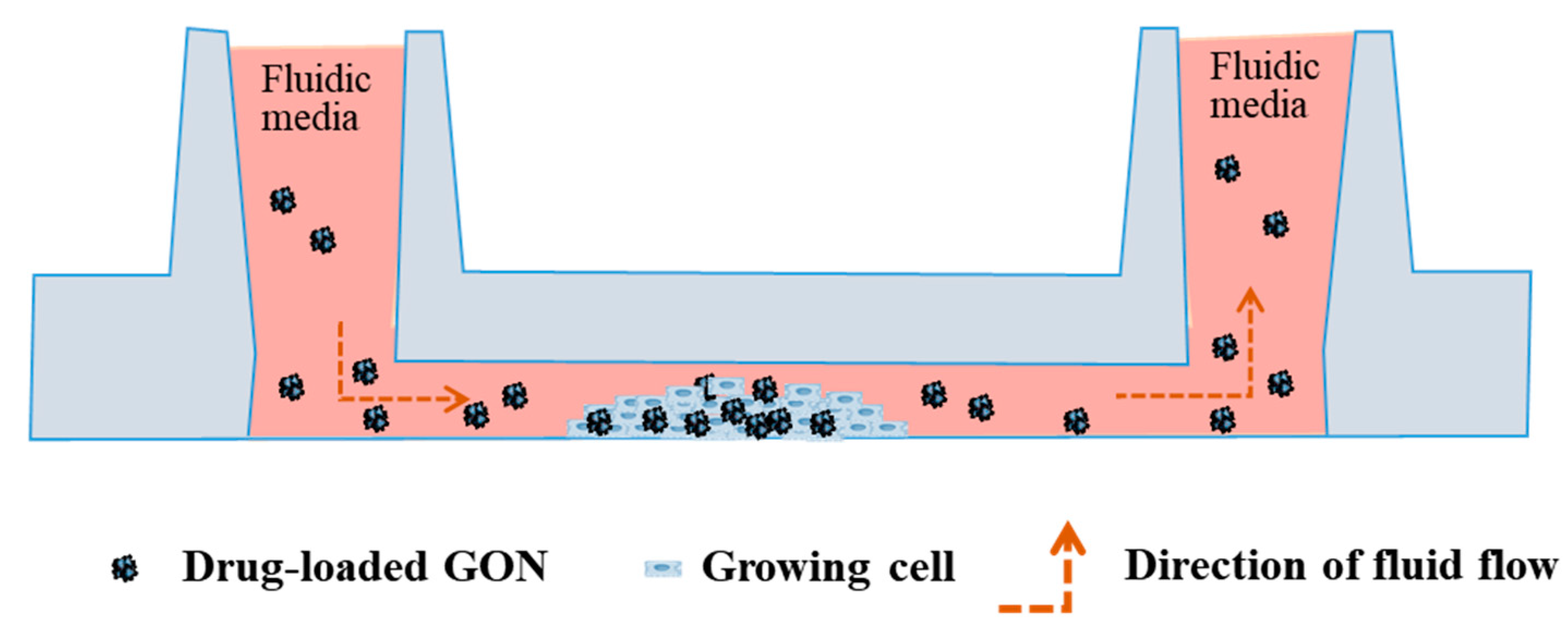 Pharmaceutics 12 00555 g002 Pharmaceutics 12 00555 g002
