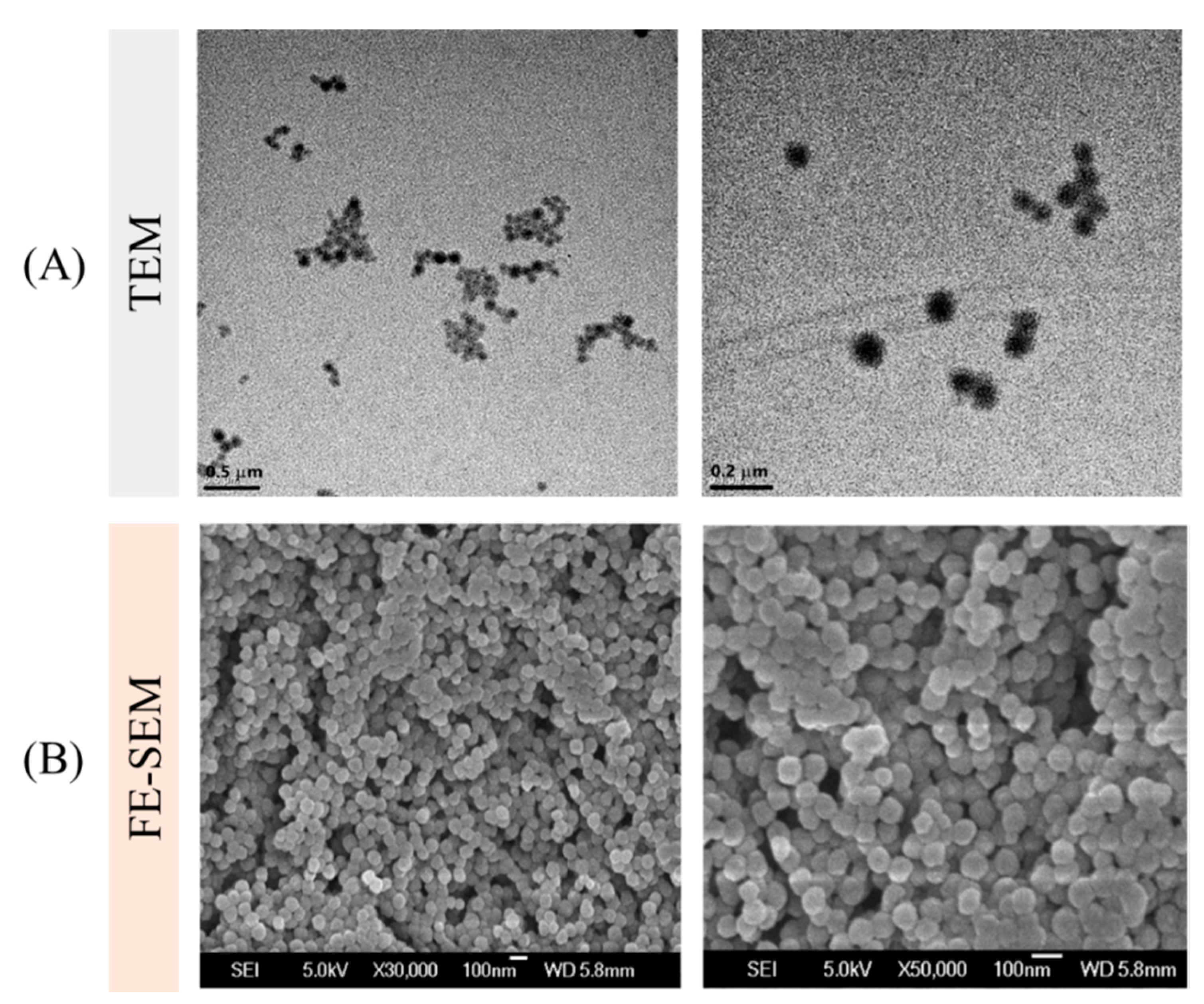 Pharmaceutics 12 00555 g003 Pharmaceutics 12 00555 g003