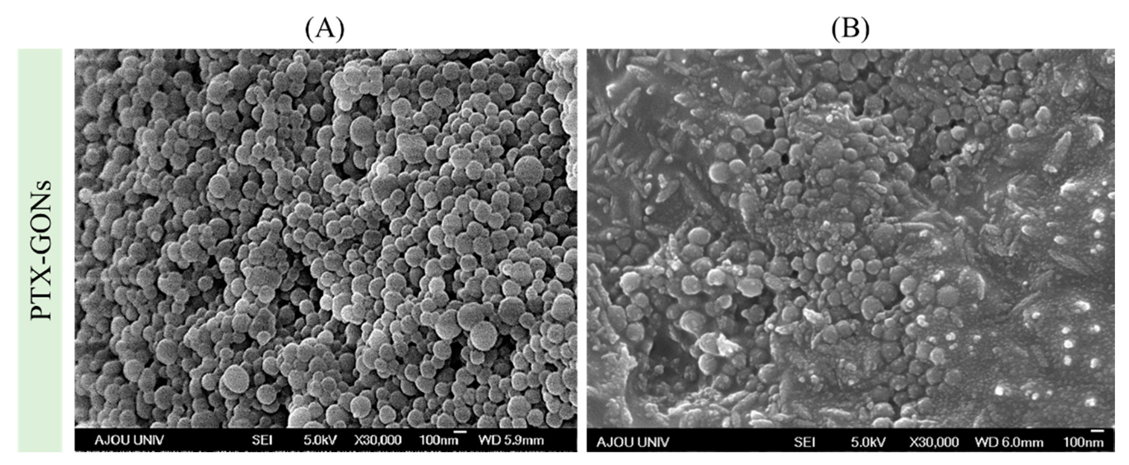 Pharmaceutics 12 00555 g004 Pharmaceutics 12 00555 g004
