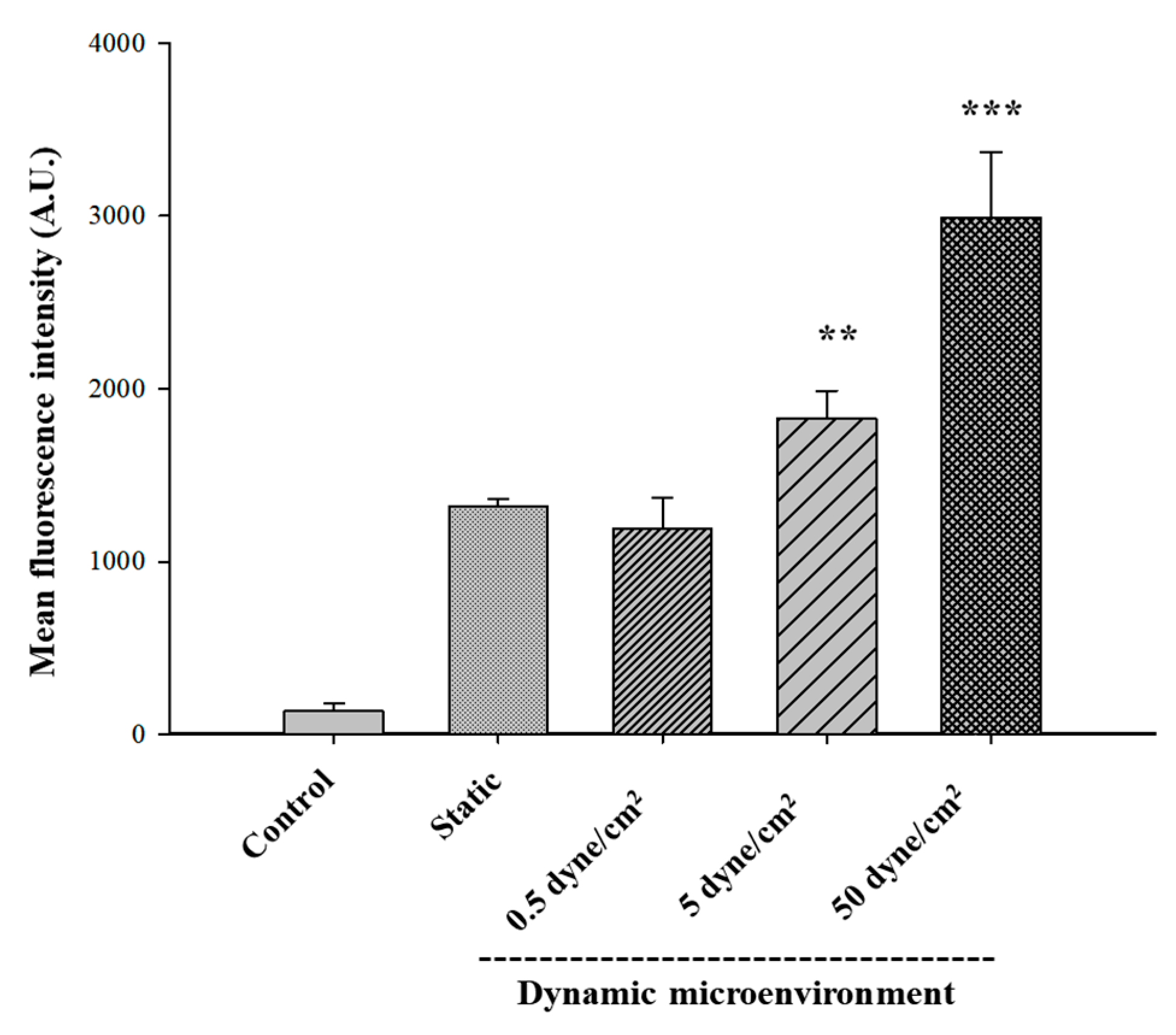 Pharmaceutics 12 00555 g005 Pharmaceutics 12 00555 g005
