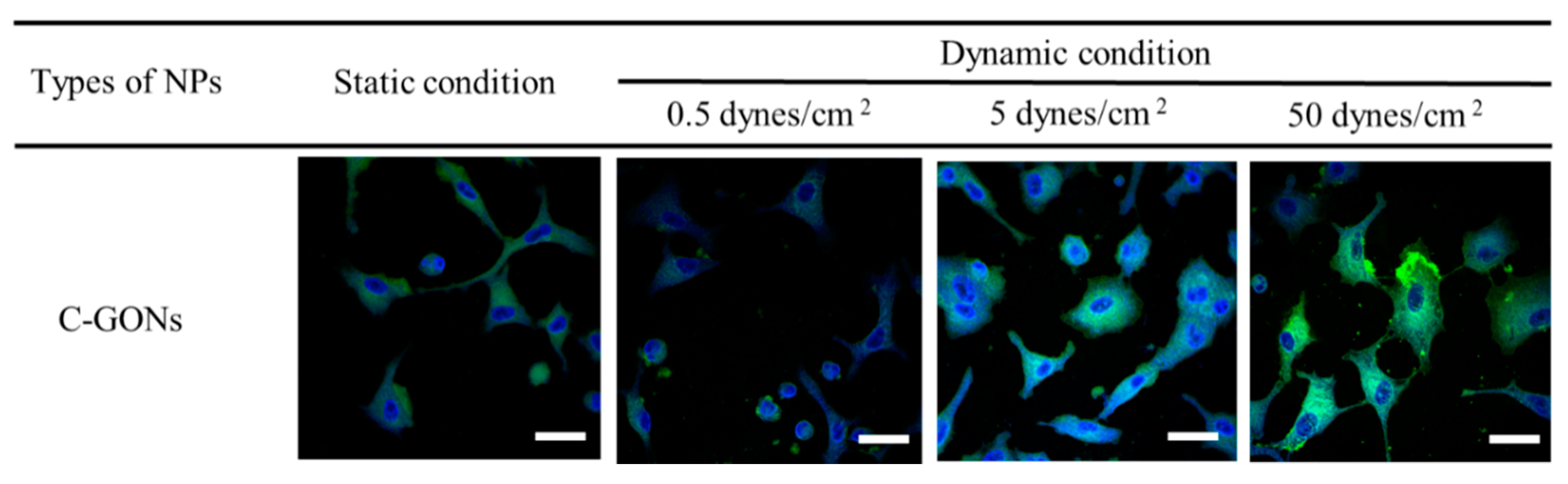 Pharmaceutics 12 00555 g006 Pharmaceutics 12 00555 g006