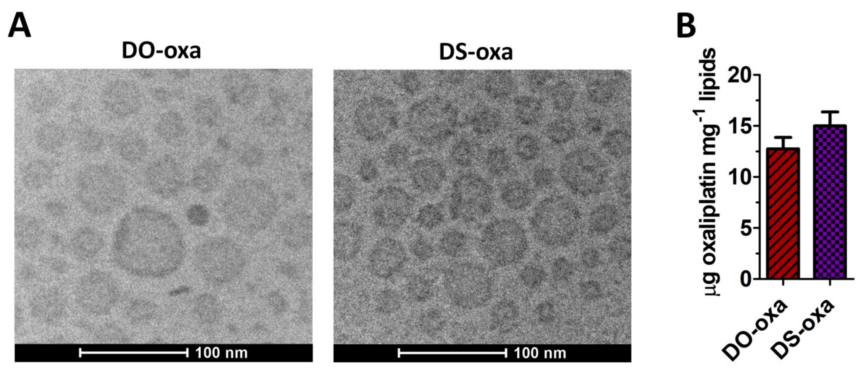Pharmaceutics 12 00559 g002