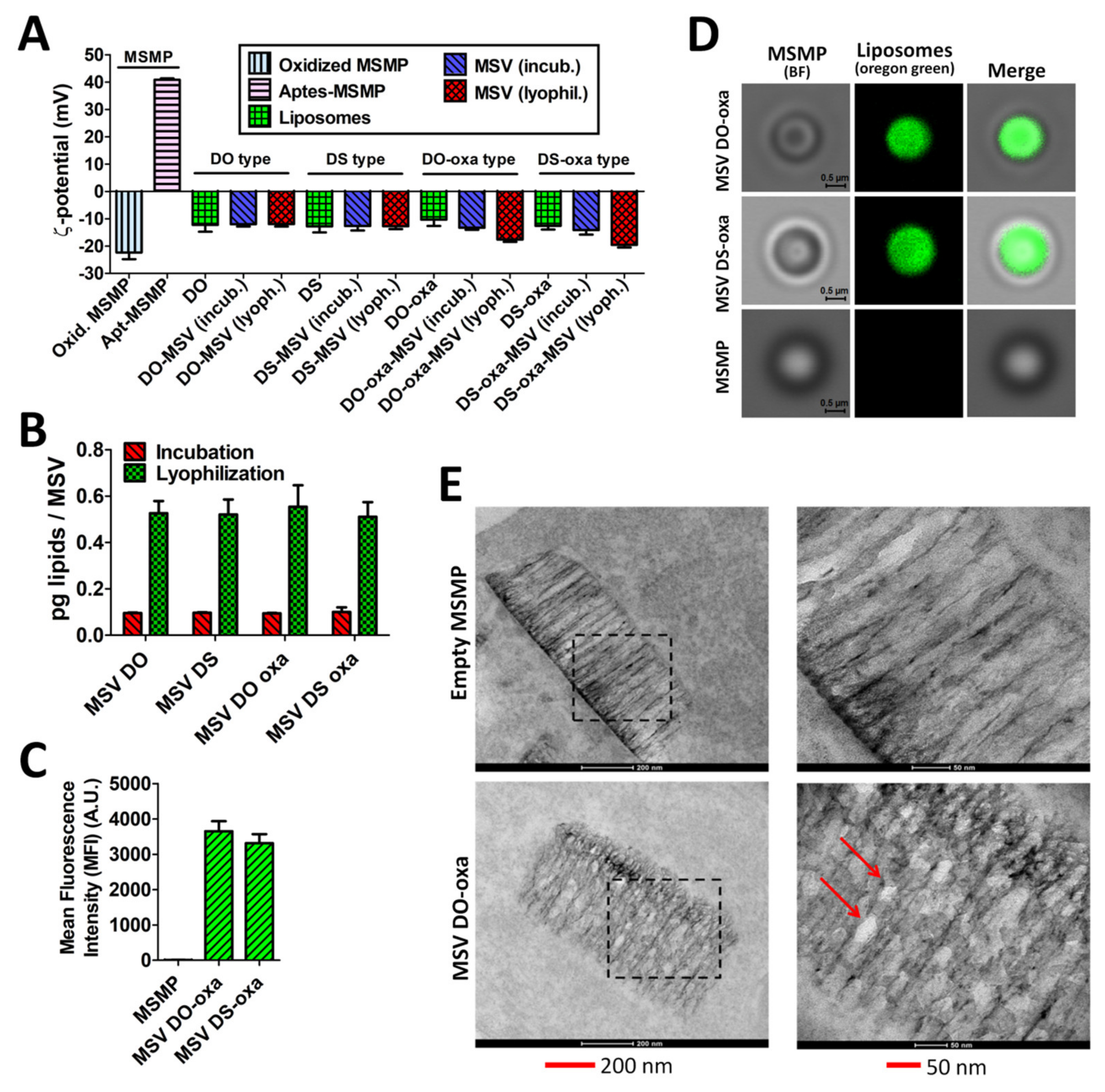 Pharmaceutics 12 00559 g006