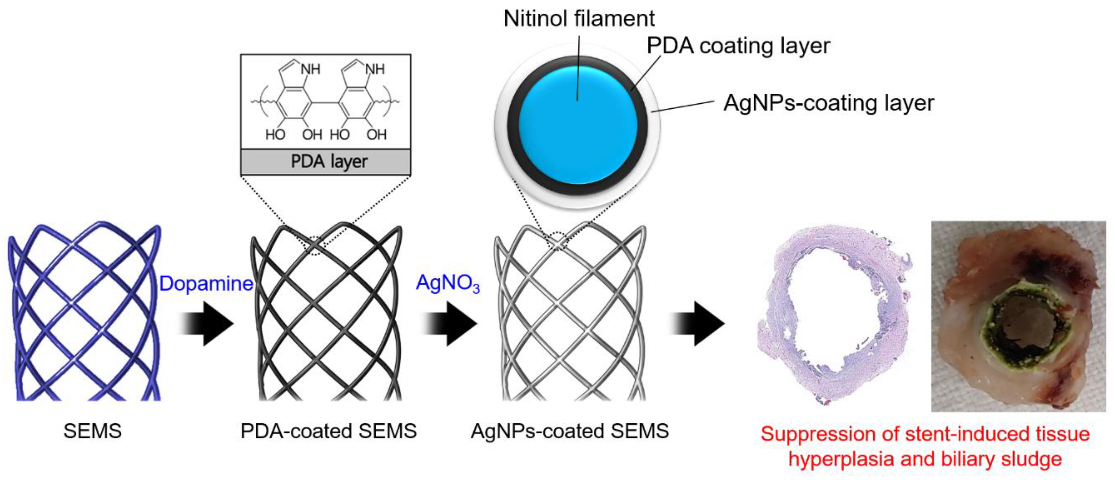 Pharmaceutics 12 00563 sch001