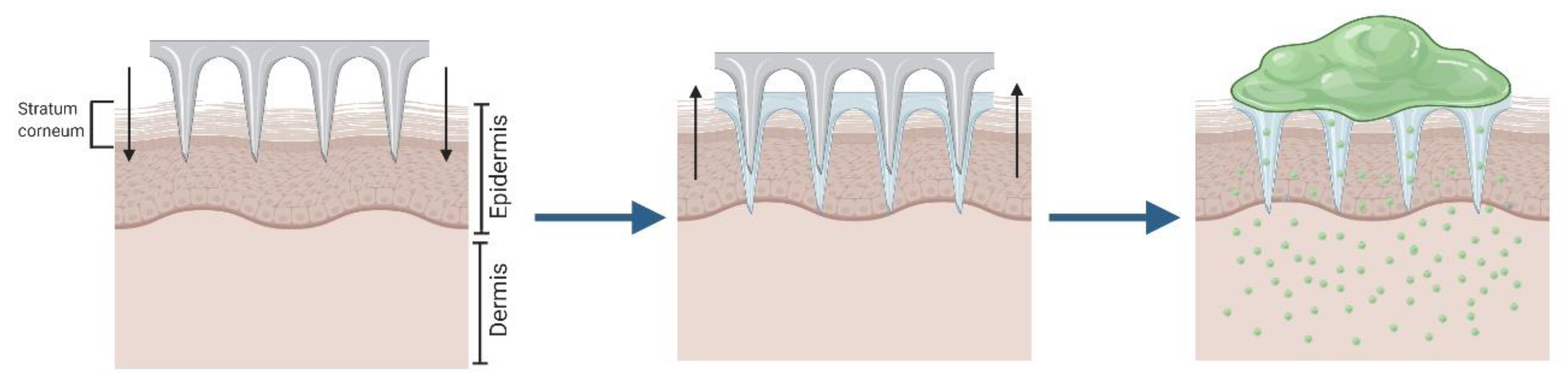 Pharmaceutics 12 00569 g001