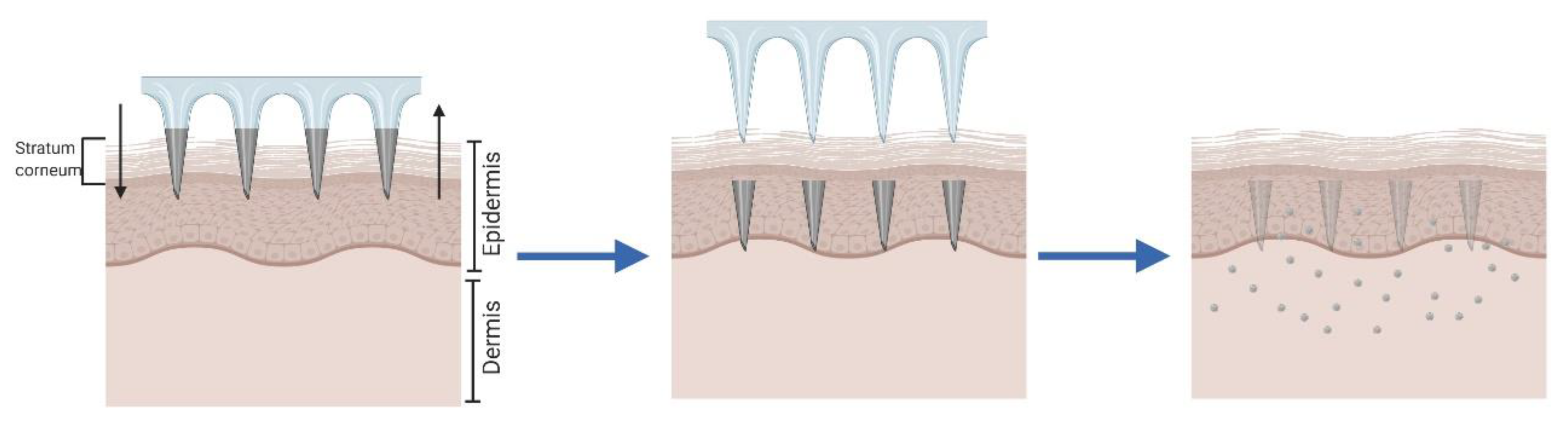 Pharmaceutics 12 00569 g004