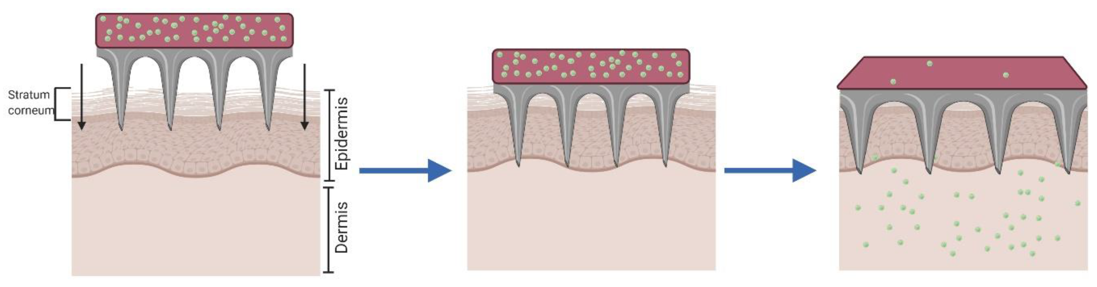 Pharmaceutics 12 00569 g005