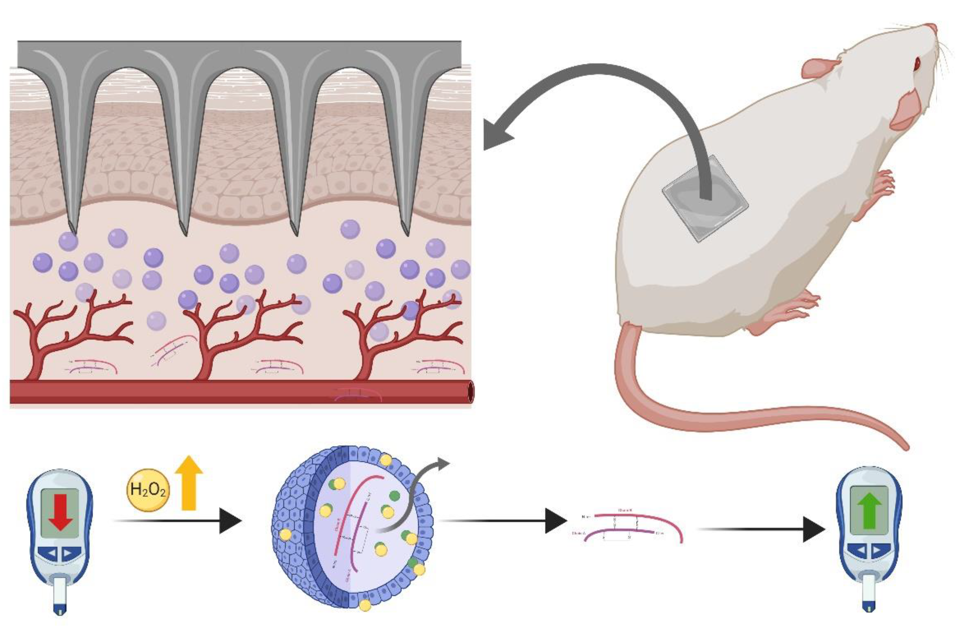 Pharmaceutics 12 00569 g007