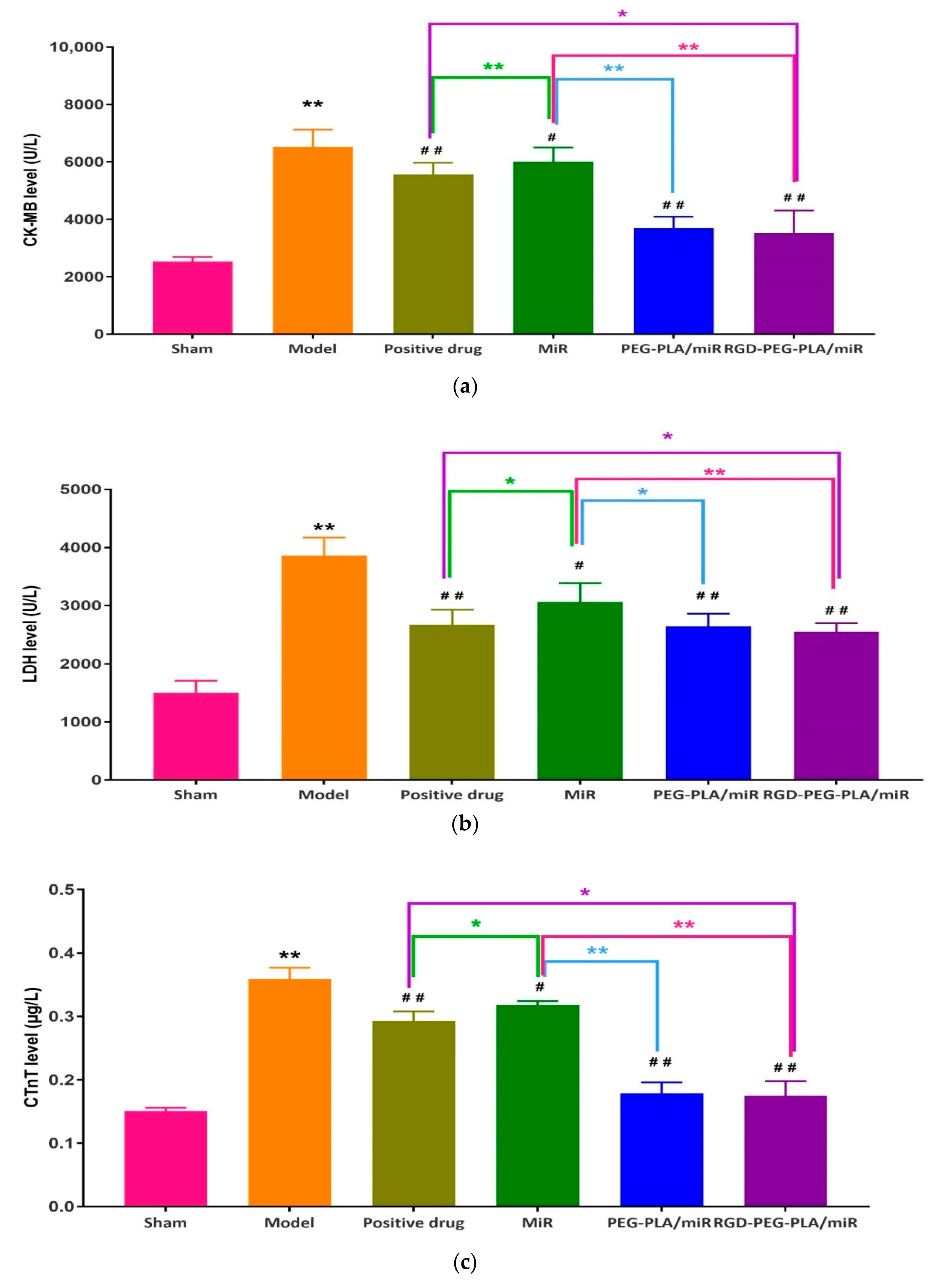 Pharmaceutics 12 00575 g007