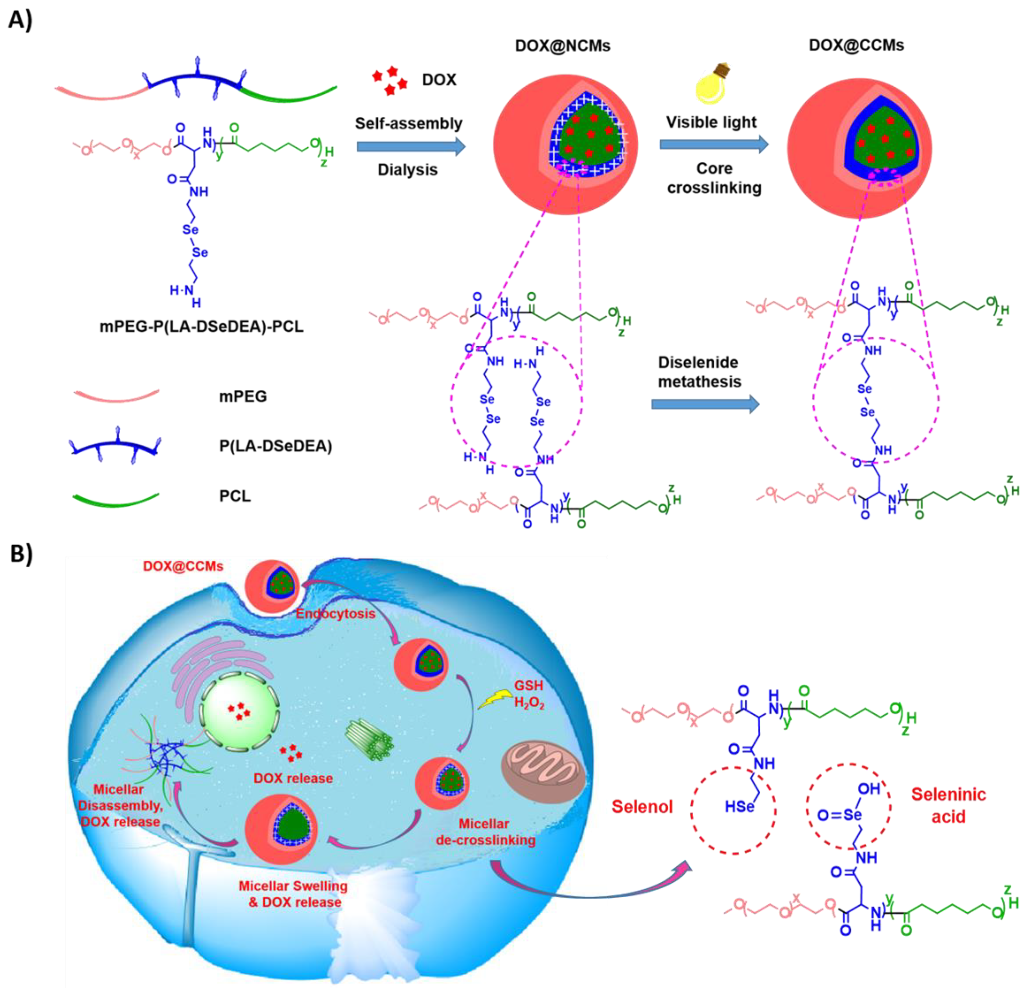 Pharmaceutics 12 00580 sch002