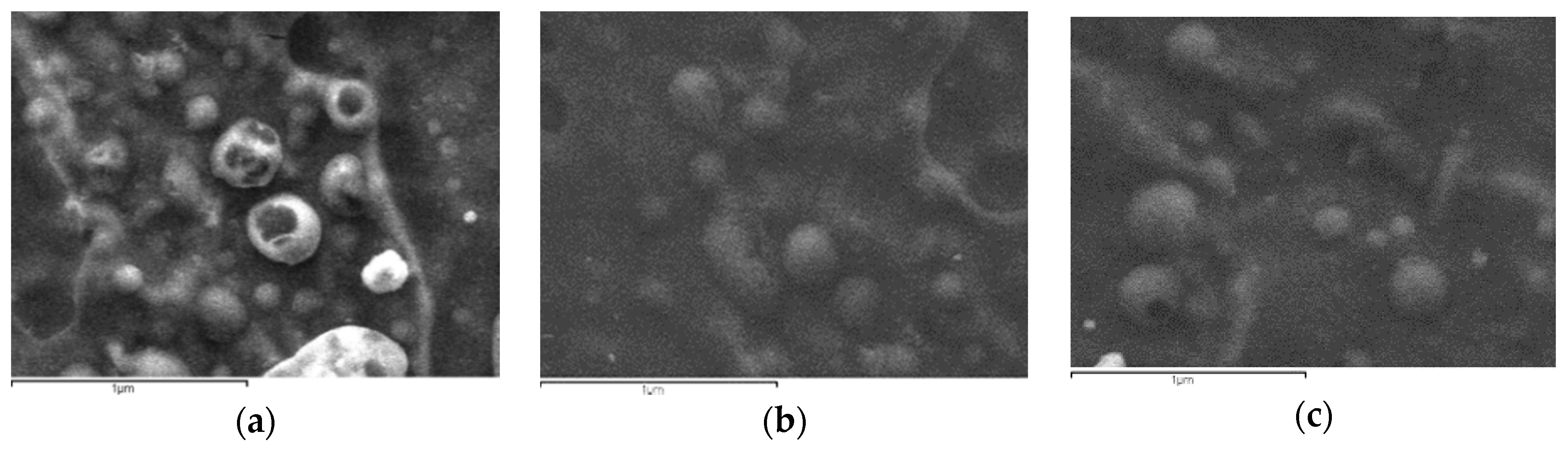 Pharmaceutics 12 00594 g005