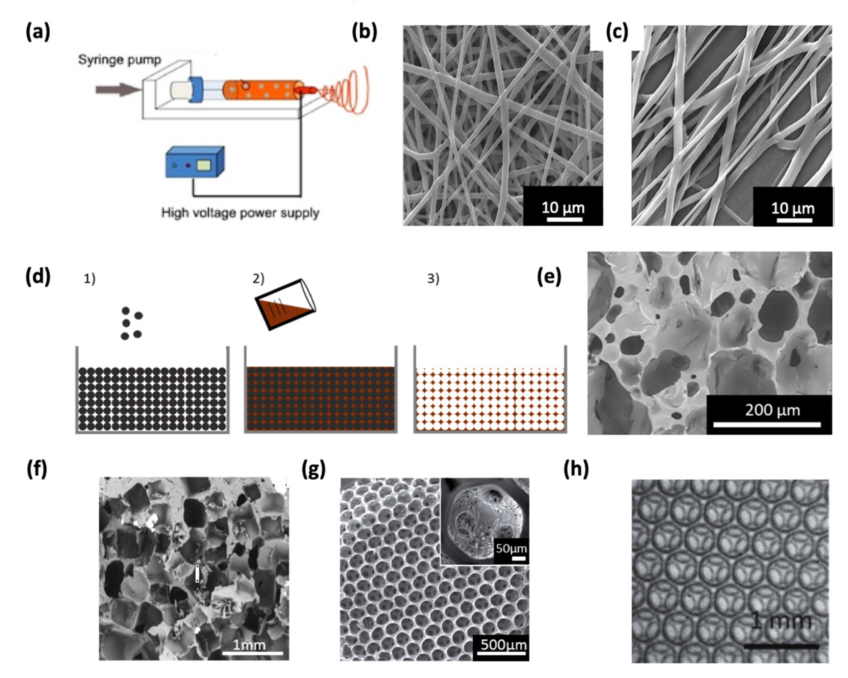 Pharmaceutics 12 00602 g001