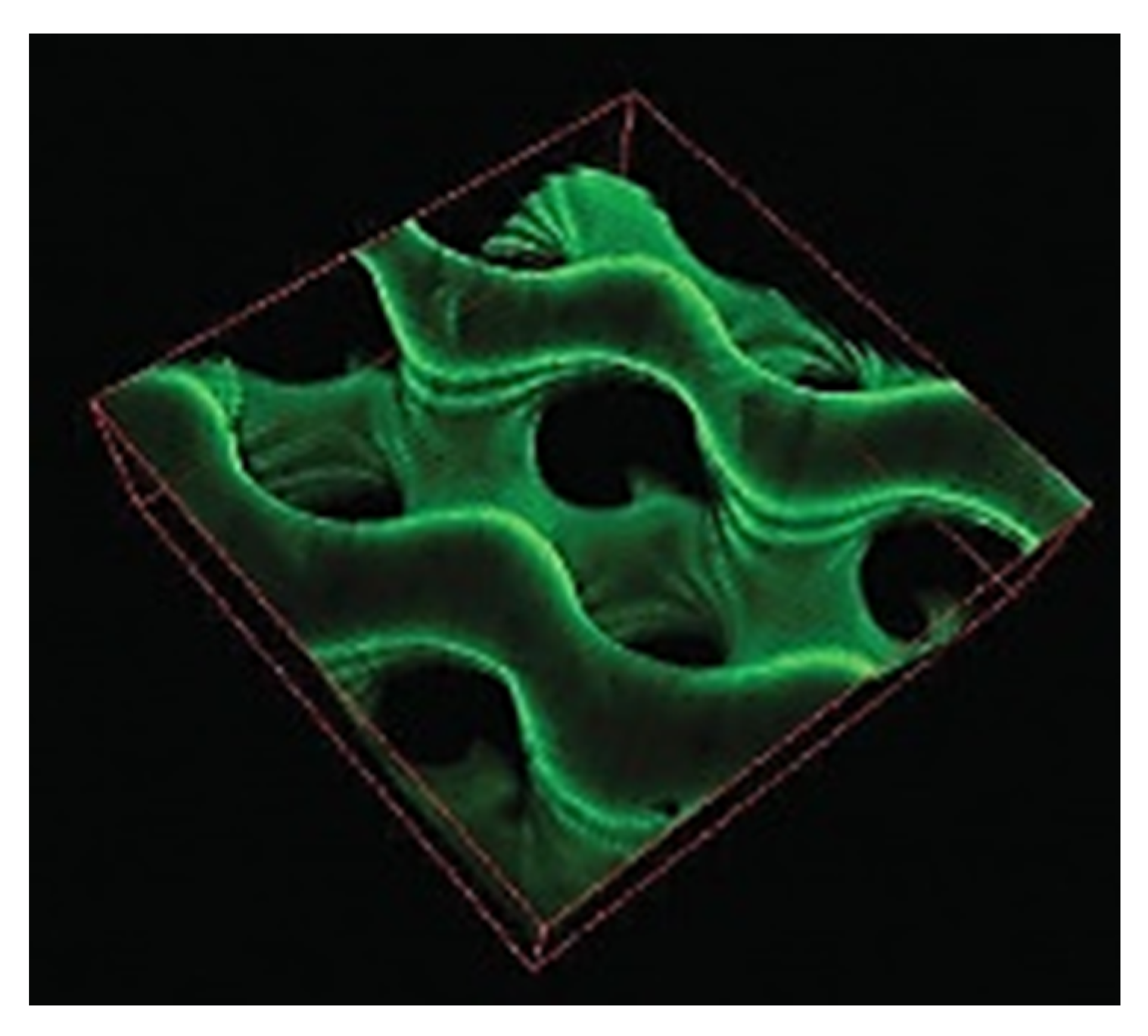 Pharmaceutics 12 00602 g002