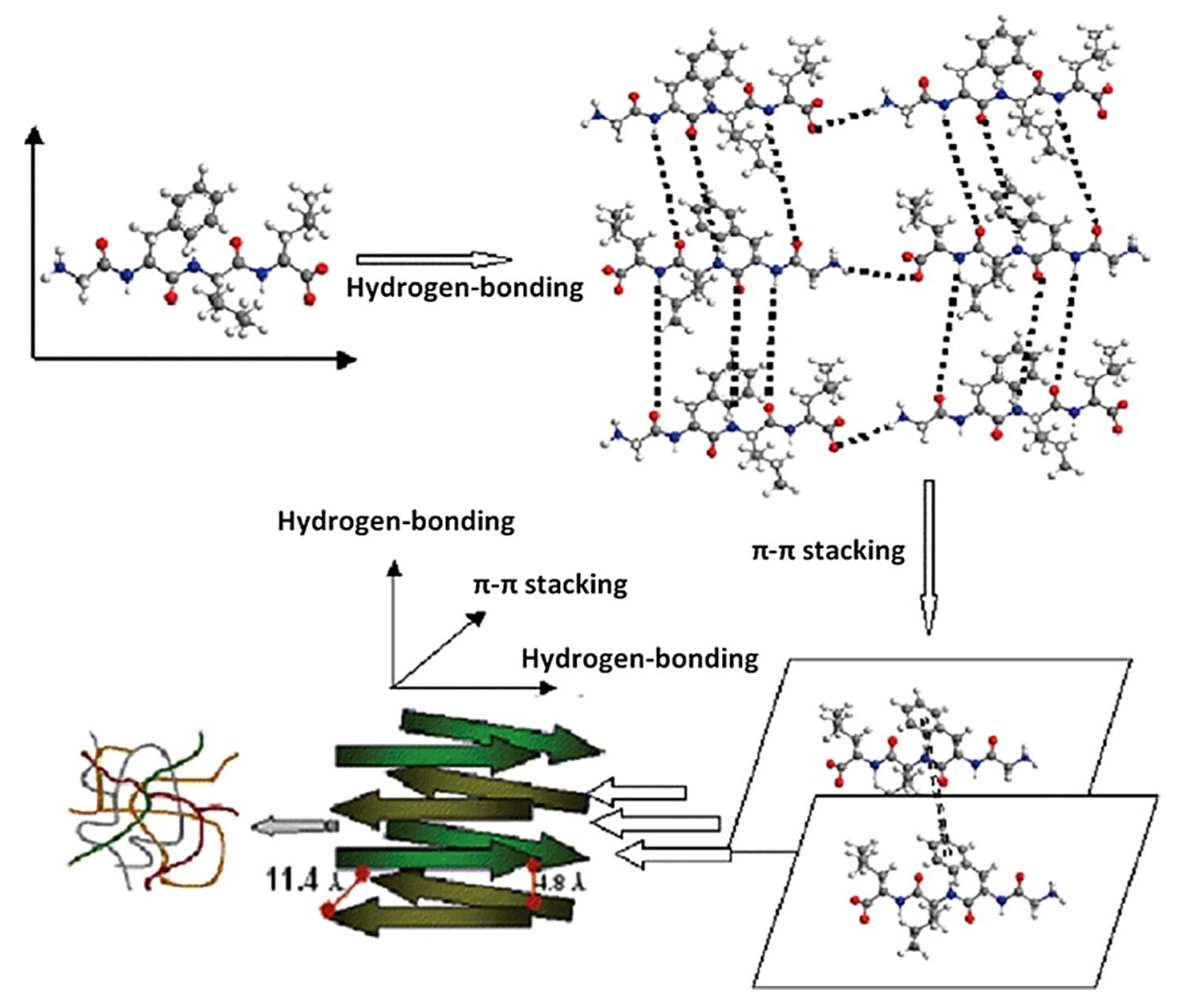 Pharmaceutics 12 00602 g003