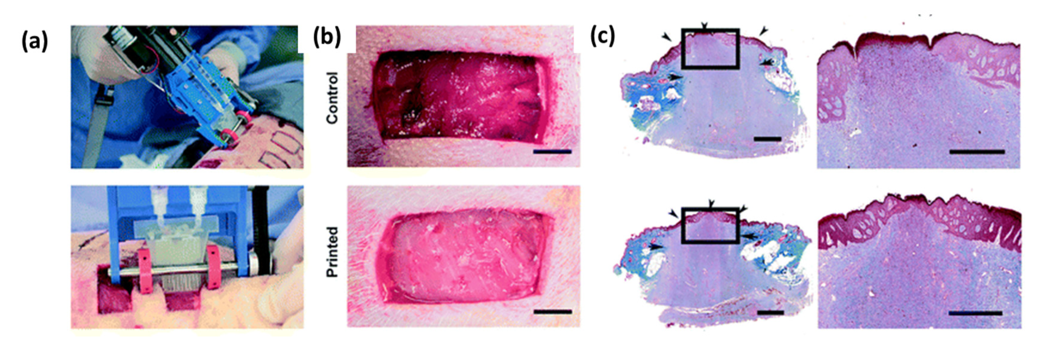 Pharmaceutics 12 00602 g007