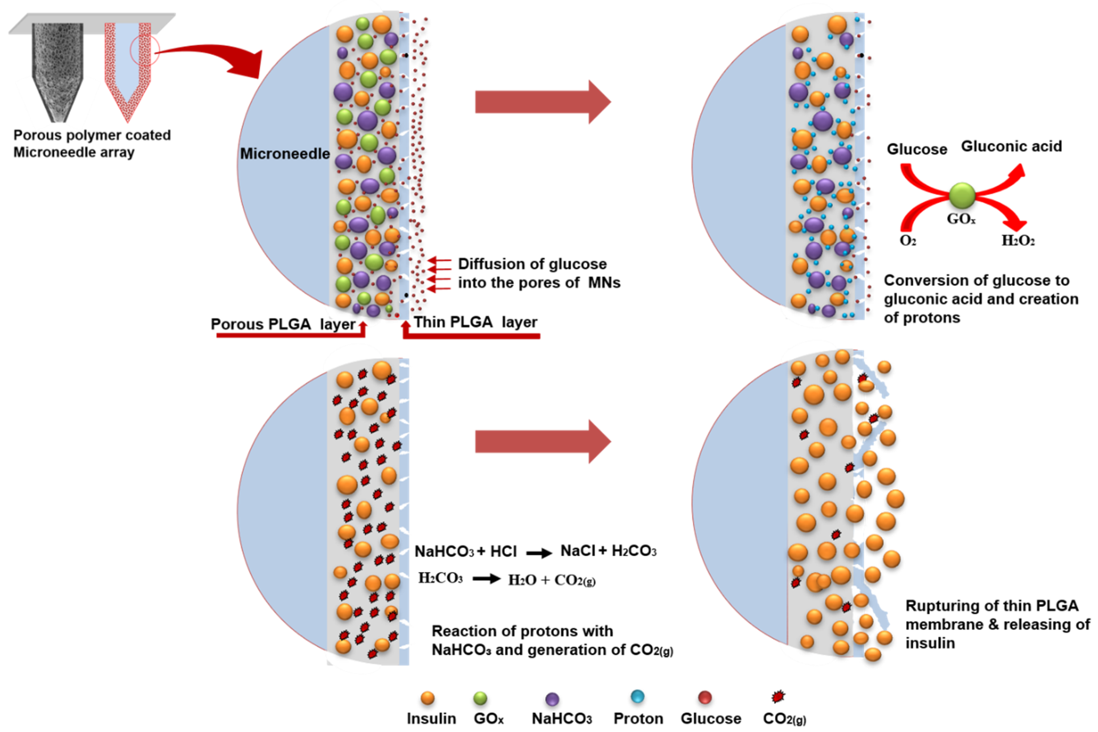 Pharmaceutics 12 00606 g001 Pharmaceutics 12 00606 g001