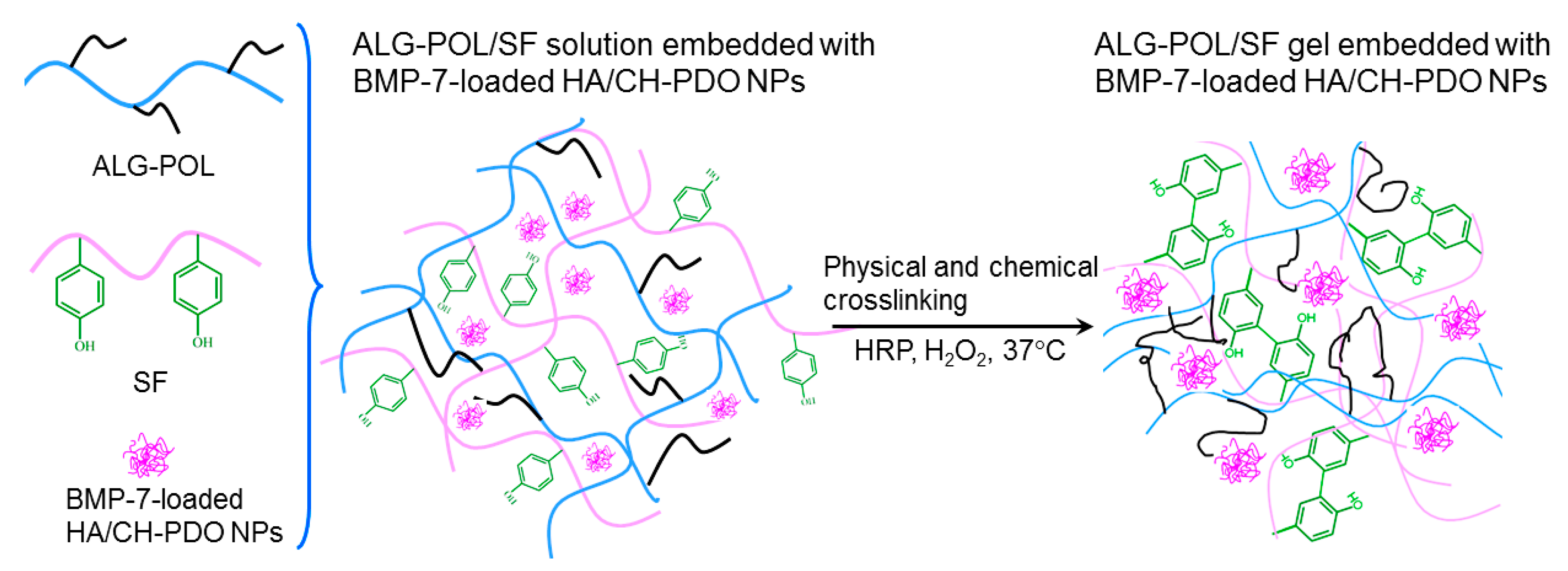Pharmaceutics 12 00613 g002