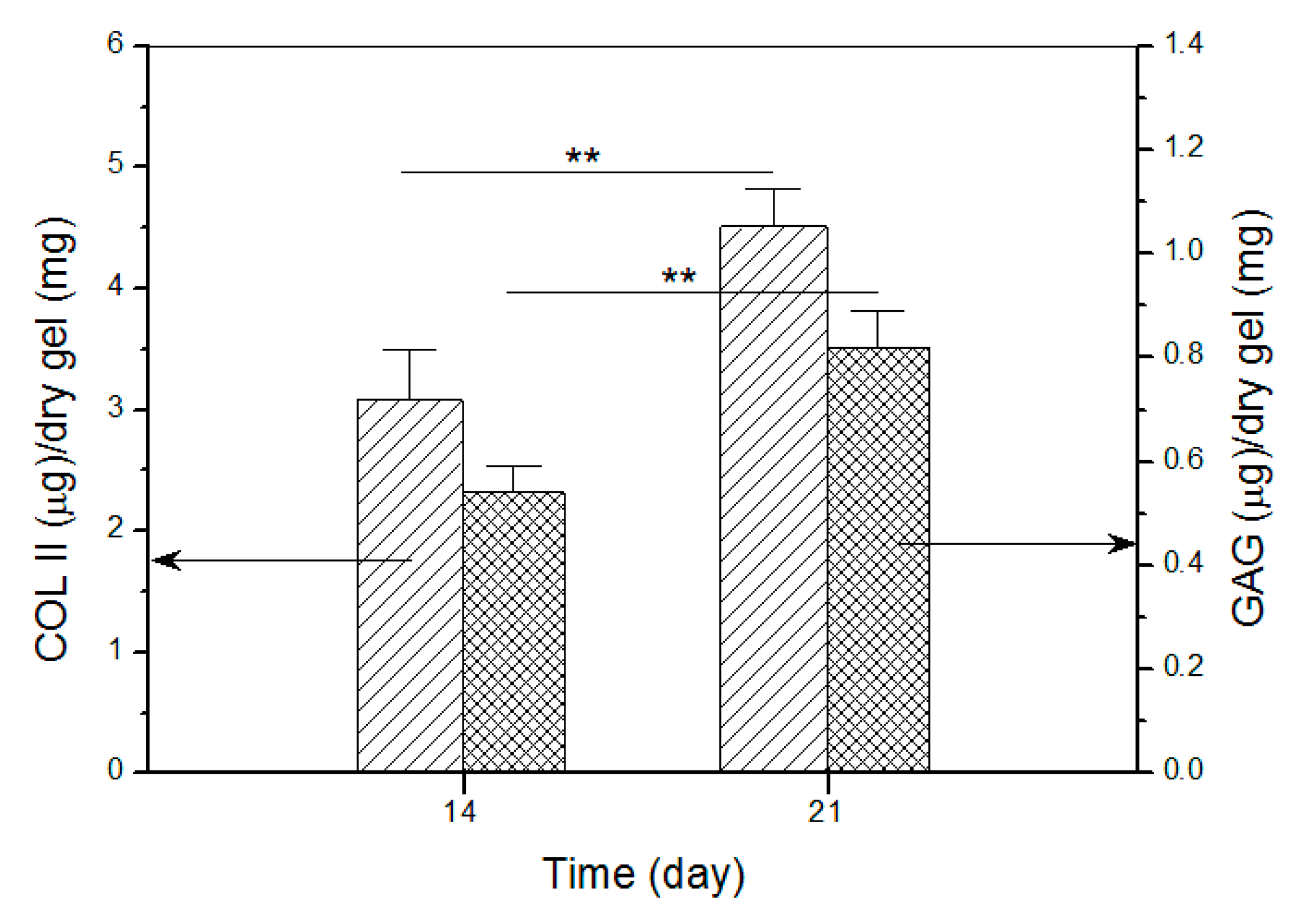 Pharmaceutics 12 00613 g011