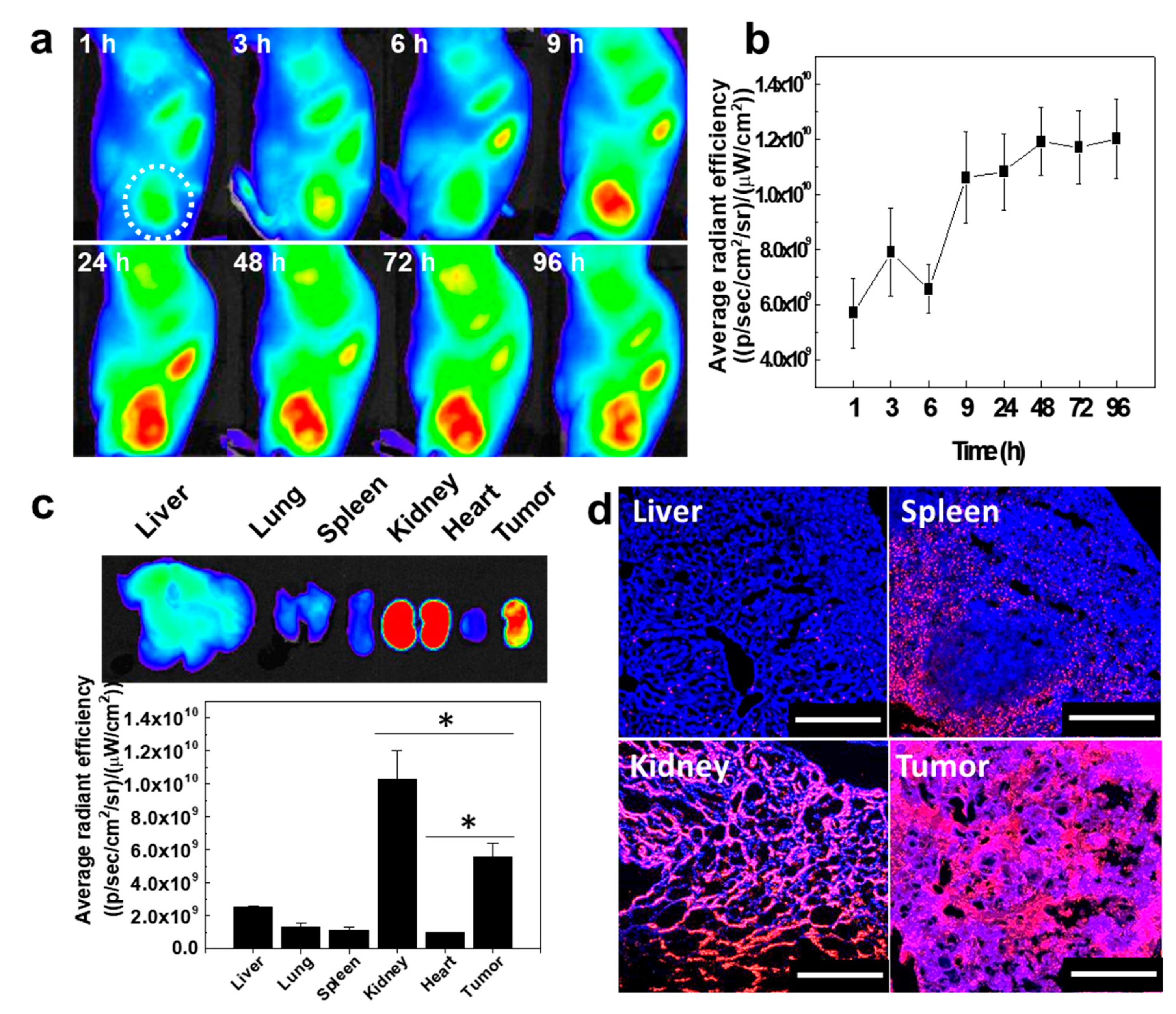 Pharmaceutics 12 00621 g004