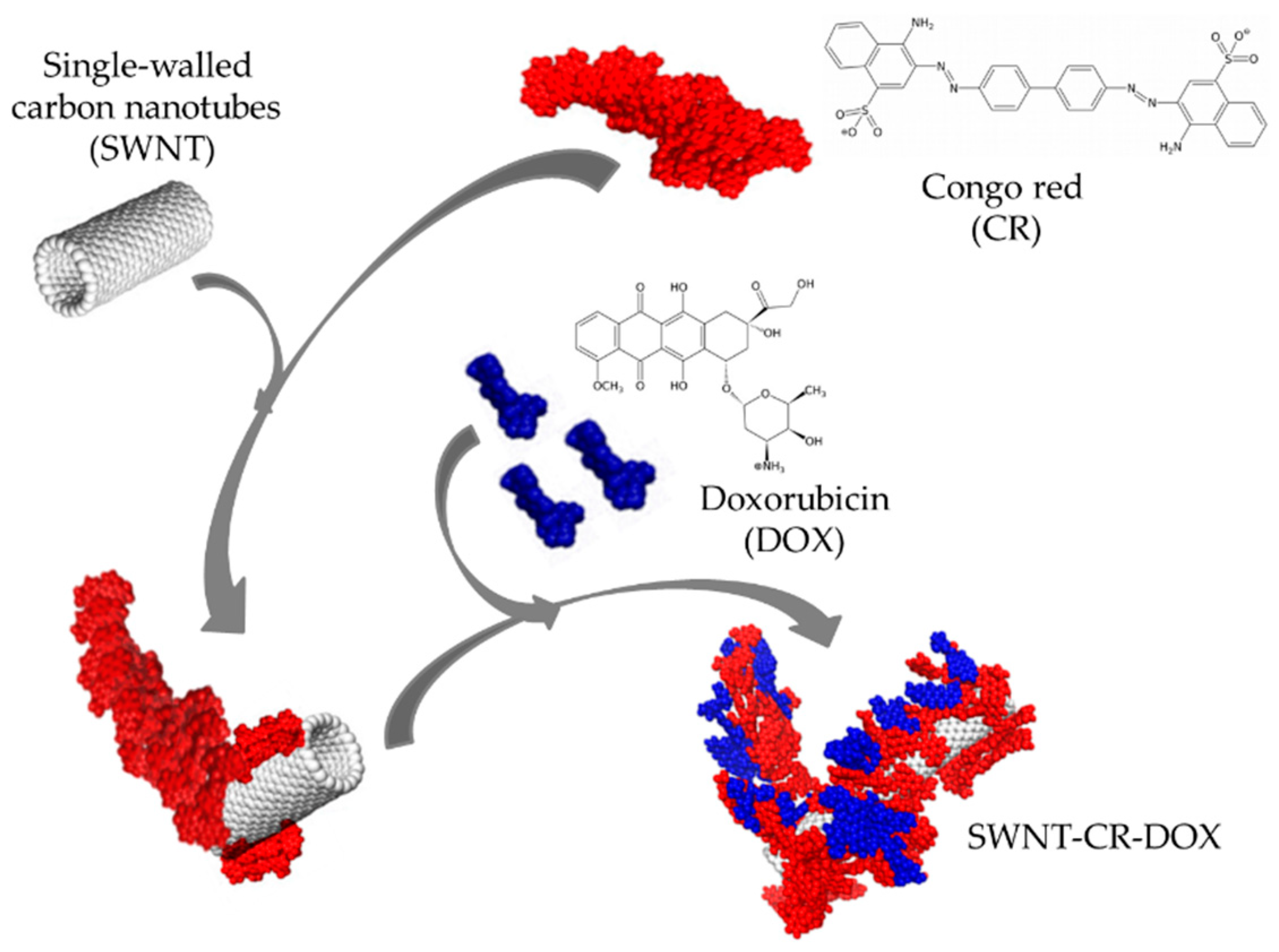 Pharmaceutics 12 00622 g001