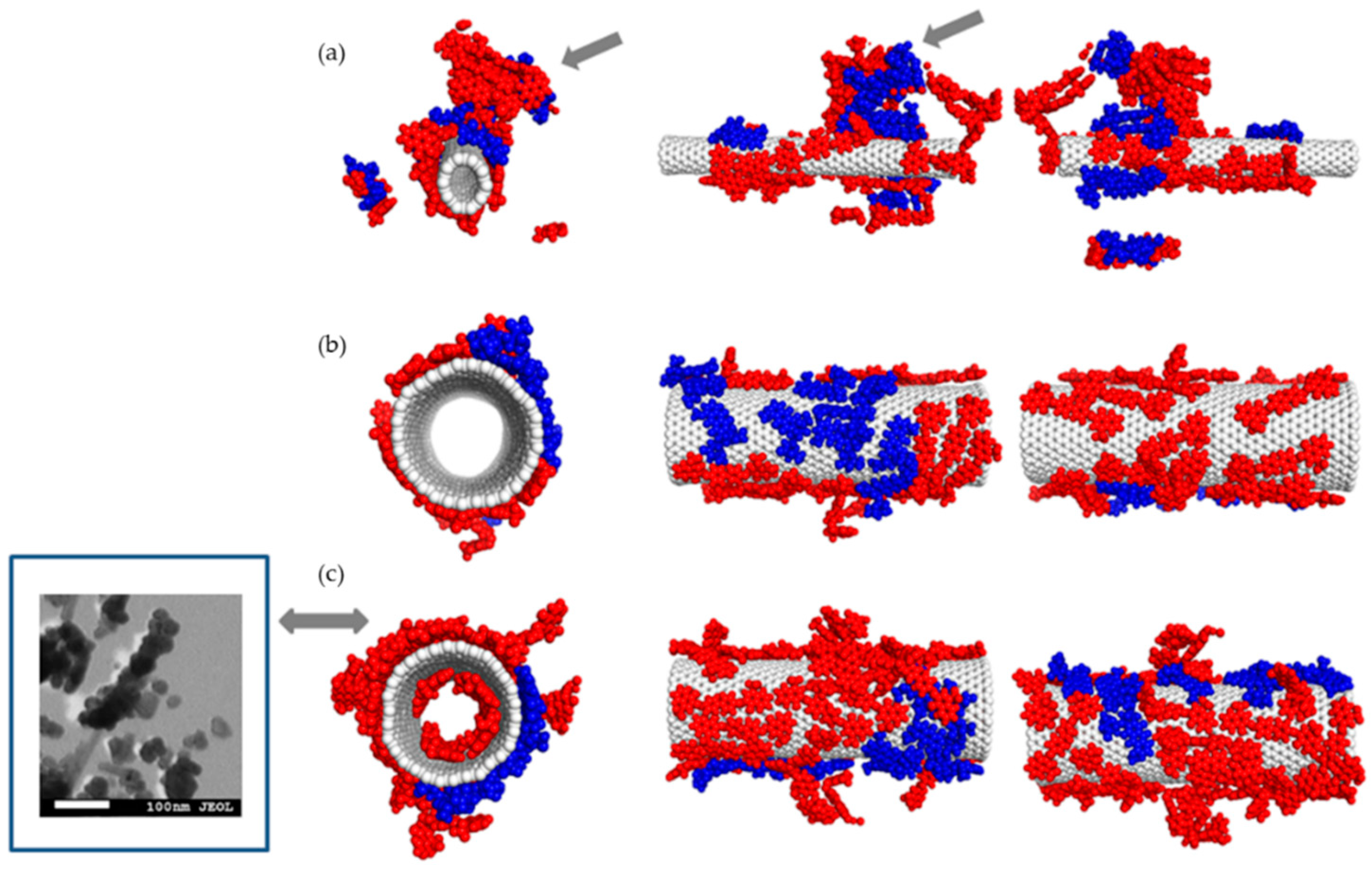 Pharmaceutics 12 00622 g005