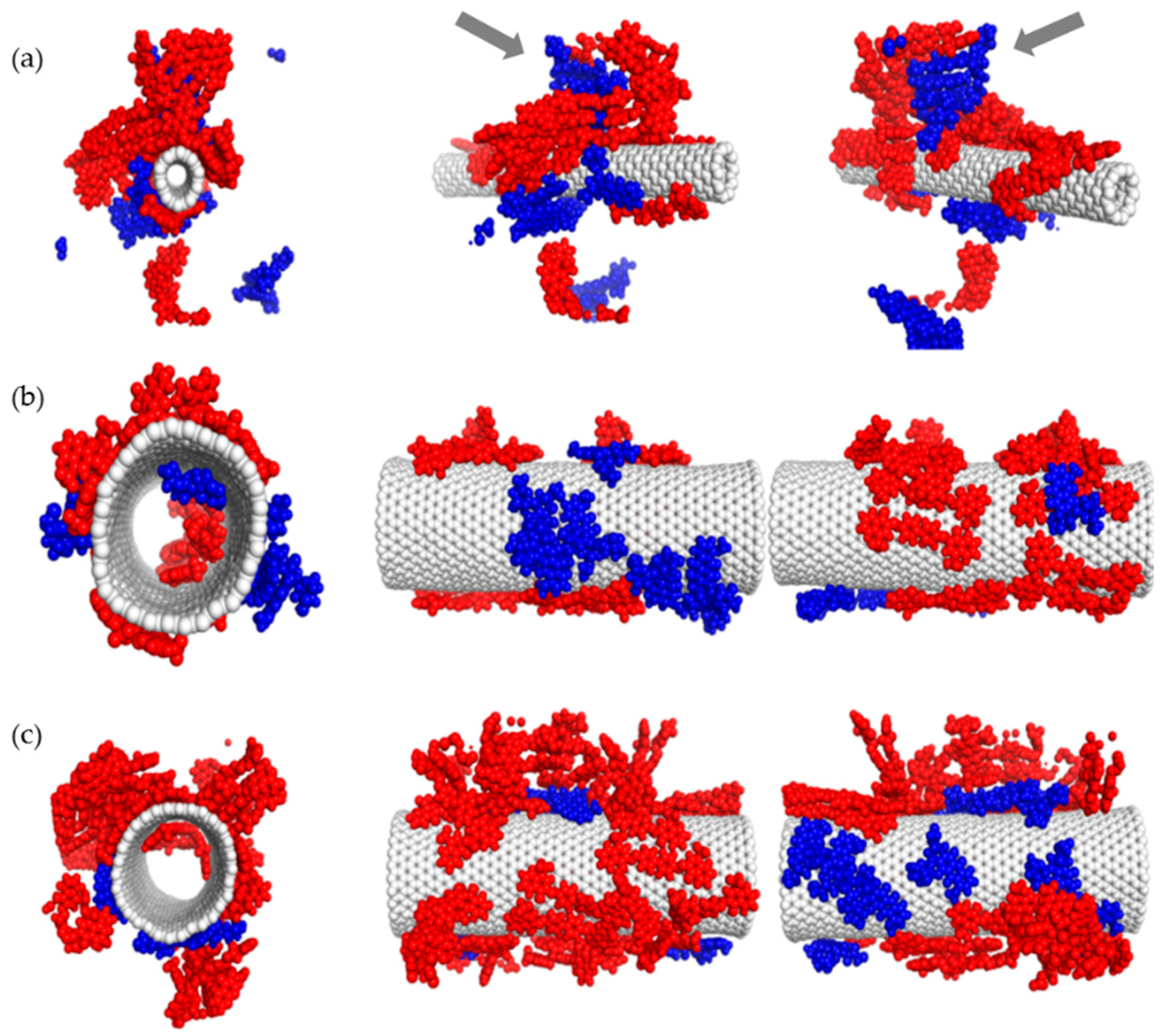 Pharmaceutics 12 00622 g006