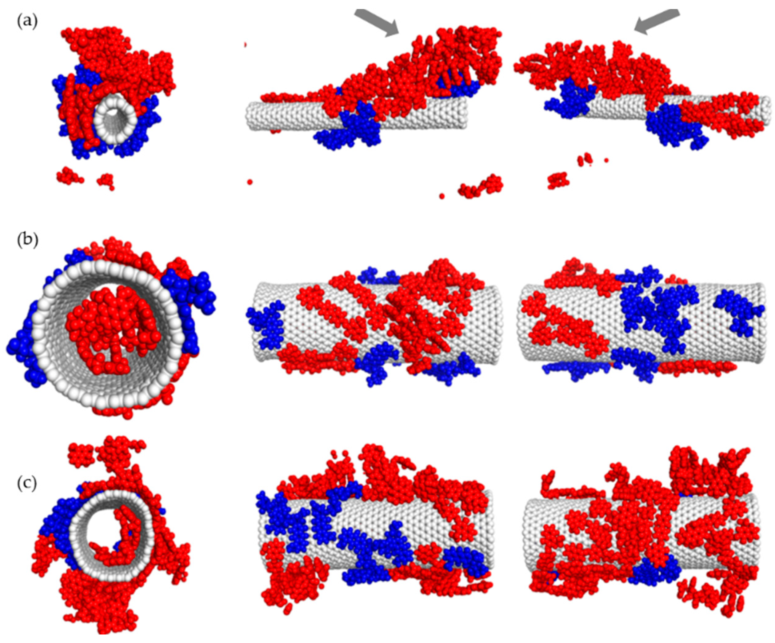 Pharmaceutics 12 00622 g007