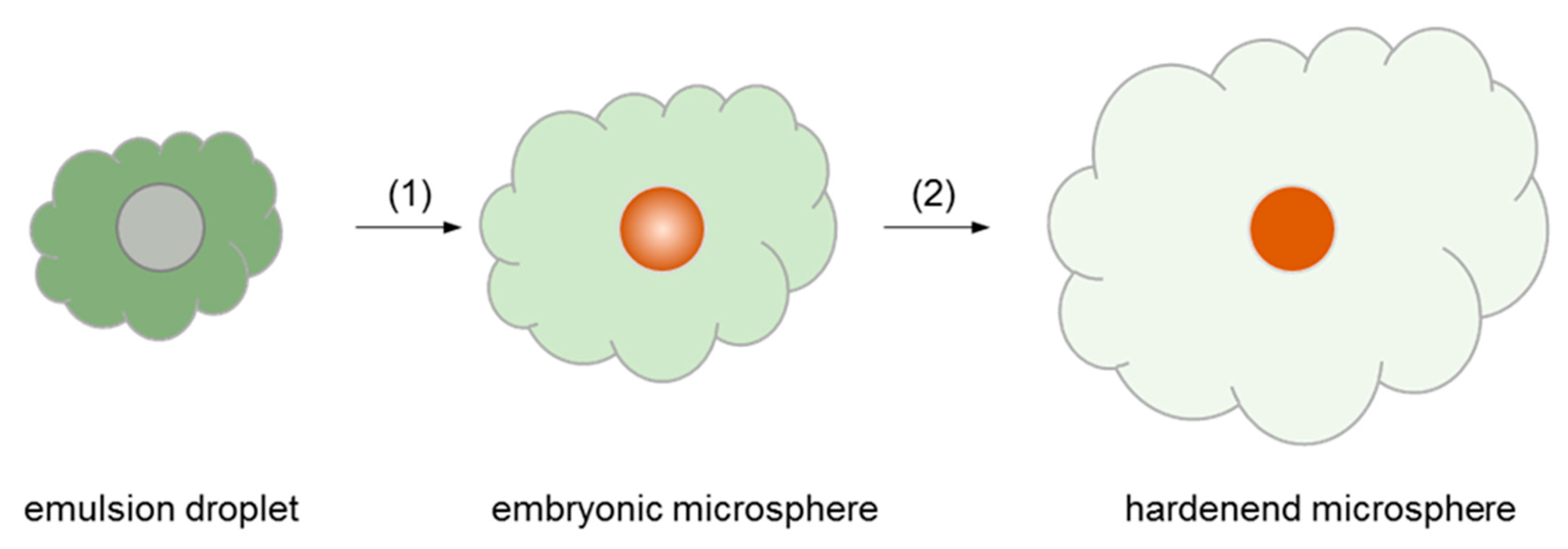 Pharmaceutics 12 00626 g001 Pharmaceutics 12 00626 g001