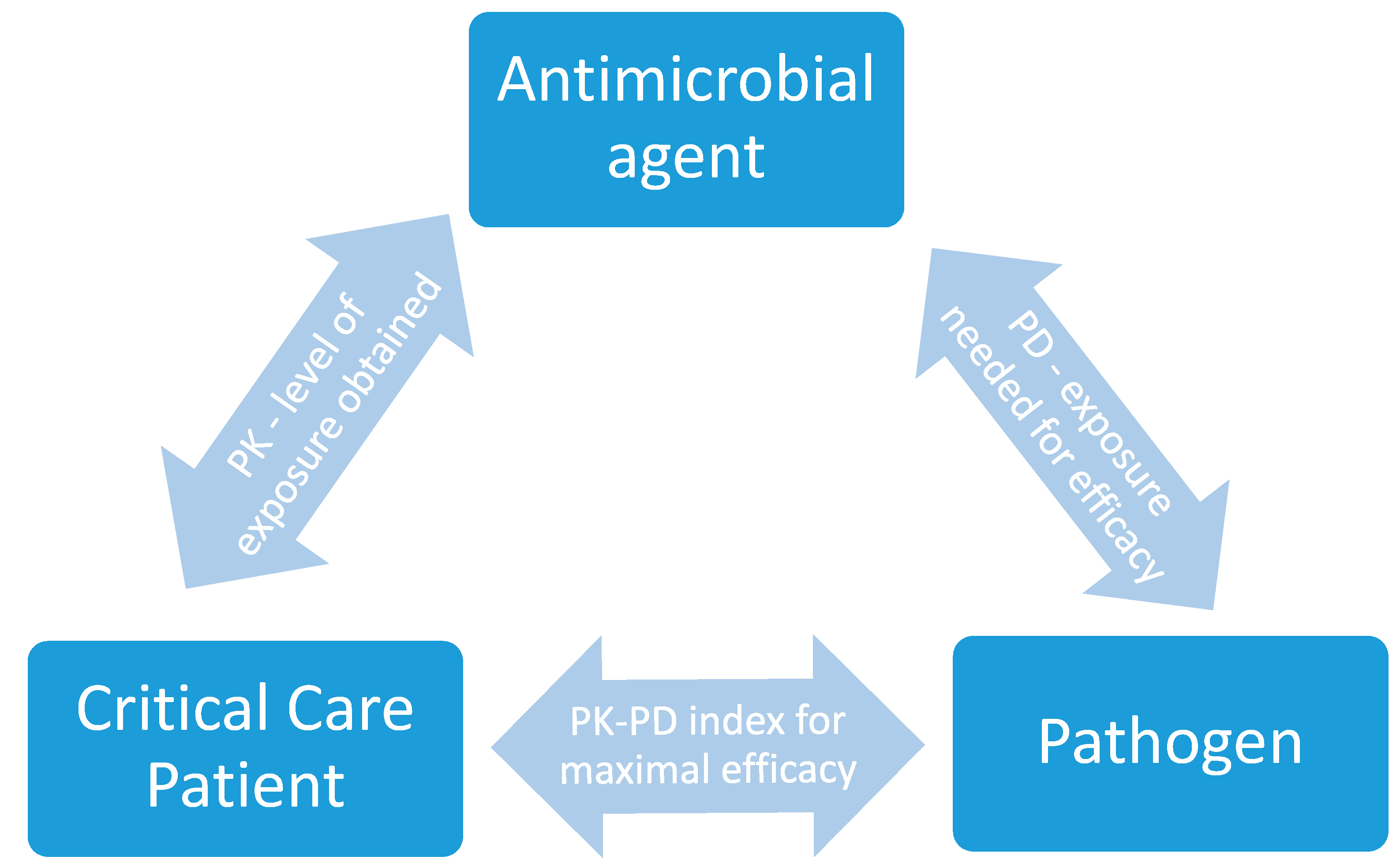 Pharmaceutics 12 00638 g001