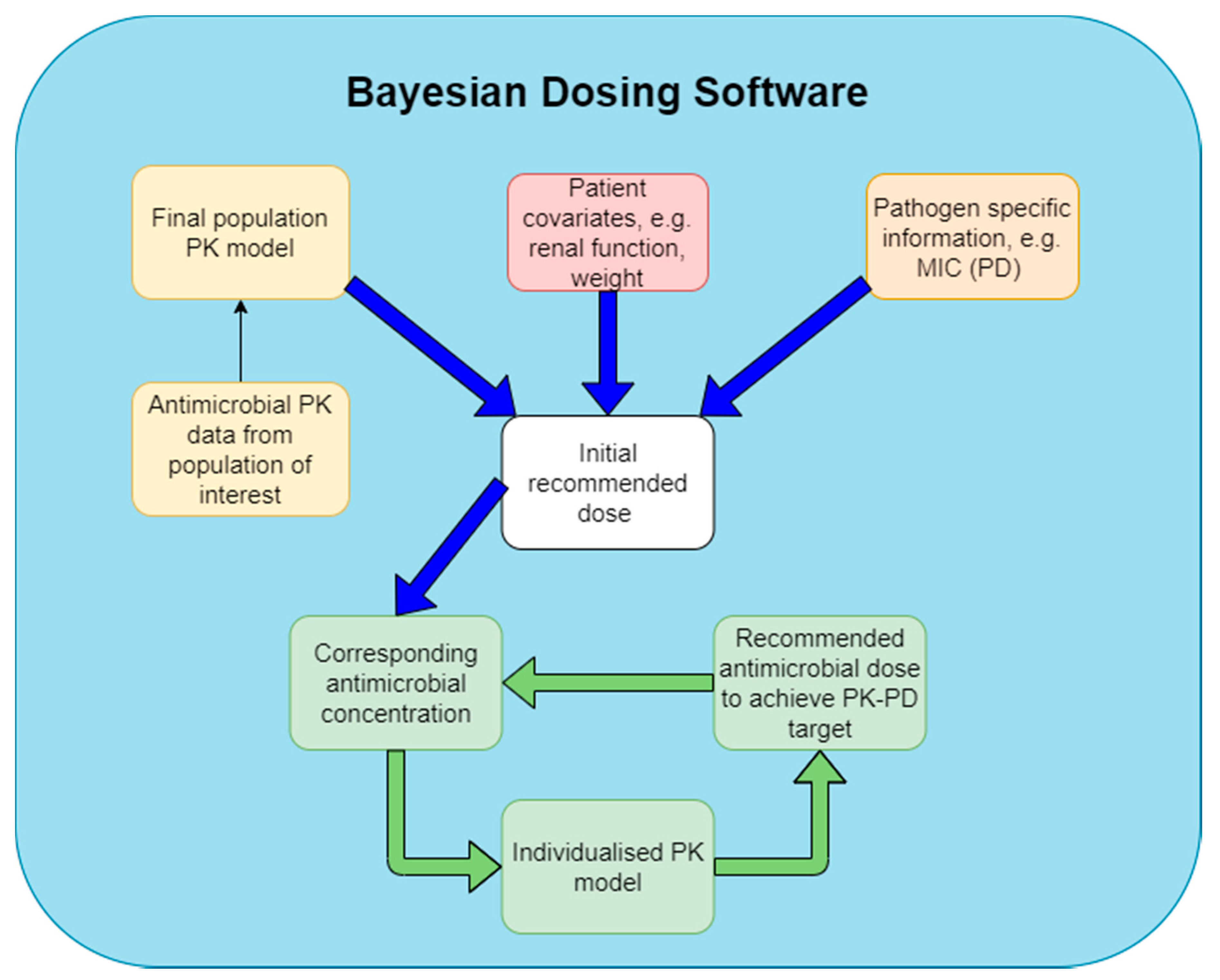 Pharmaceutics 12 00638 g003