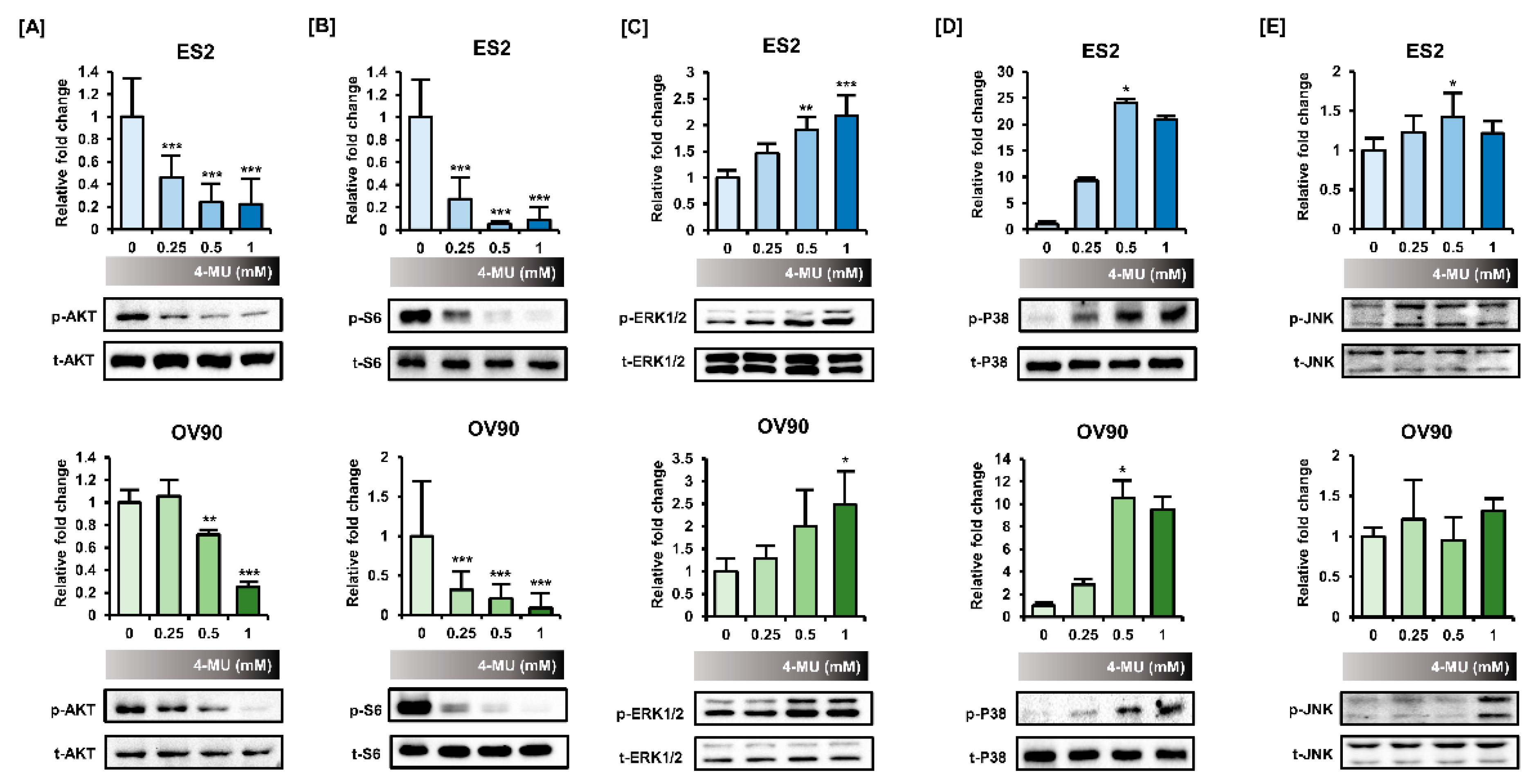 Pharmaceutics 12 00640 g004 Pharmaceutics 12 00640 g004