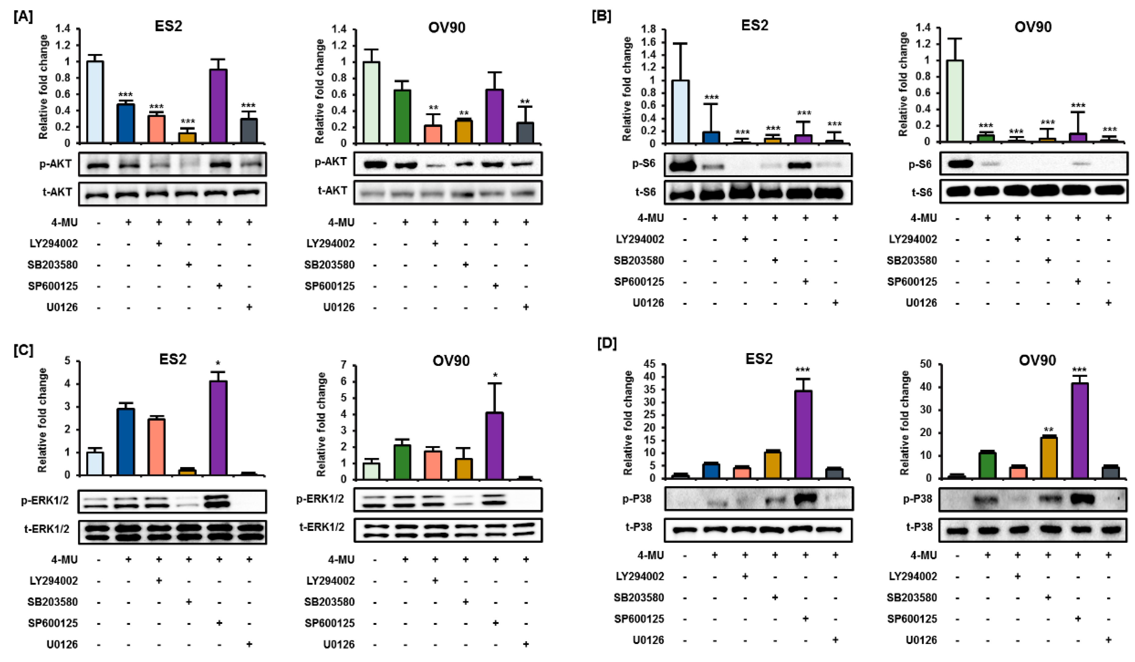 Pharmaceutics 12 00640 g005 Pharmaceutics 12 00640 g005