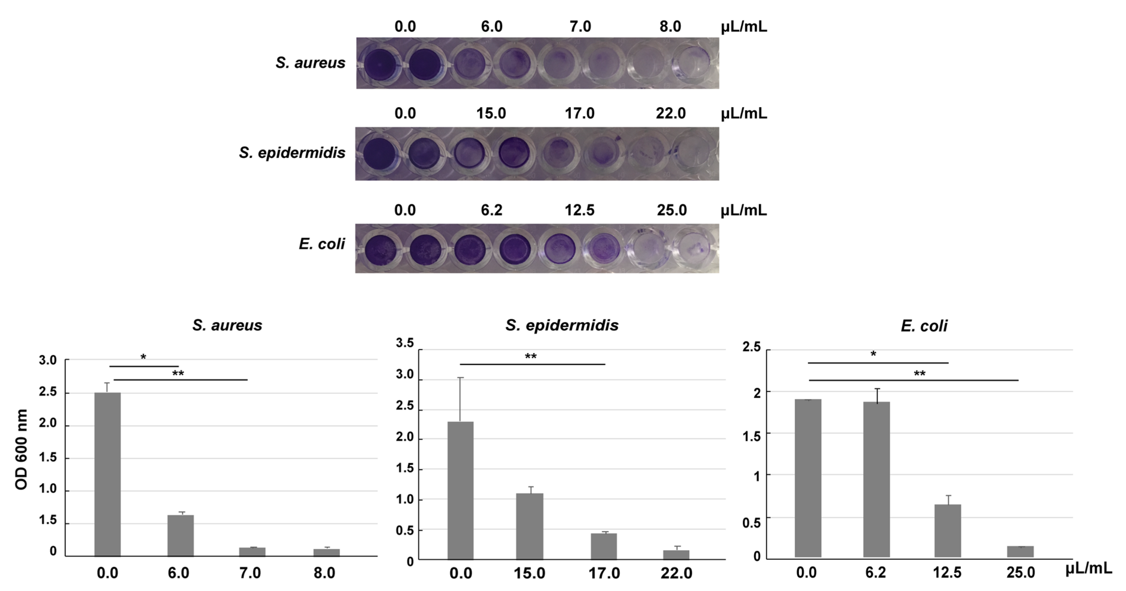 Pharmaceutics 12 00642 g002