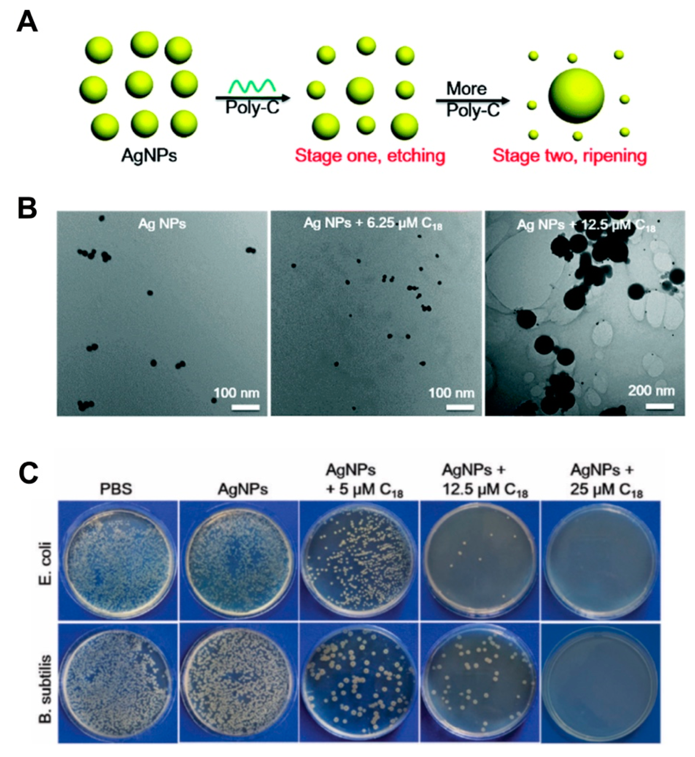 Pharmaceutics 12 00643 g003