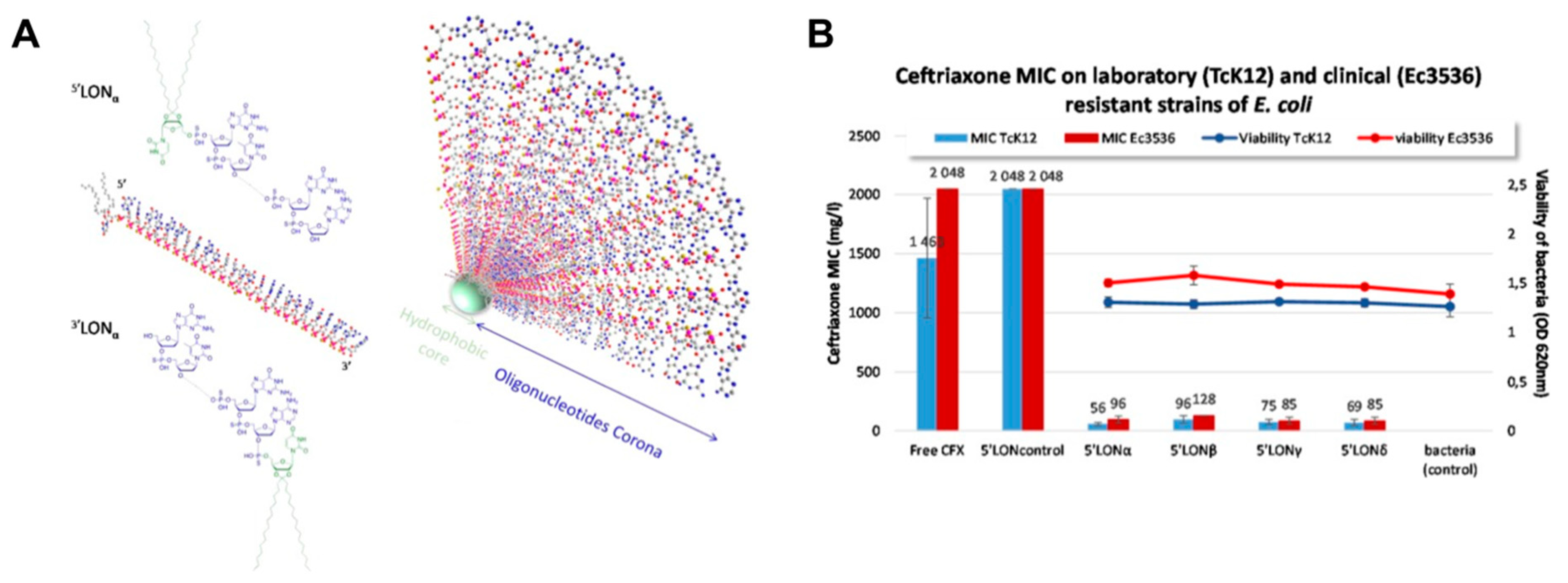 Pharmaceutics 12 00643 g005