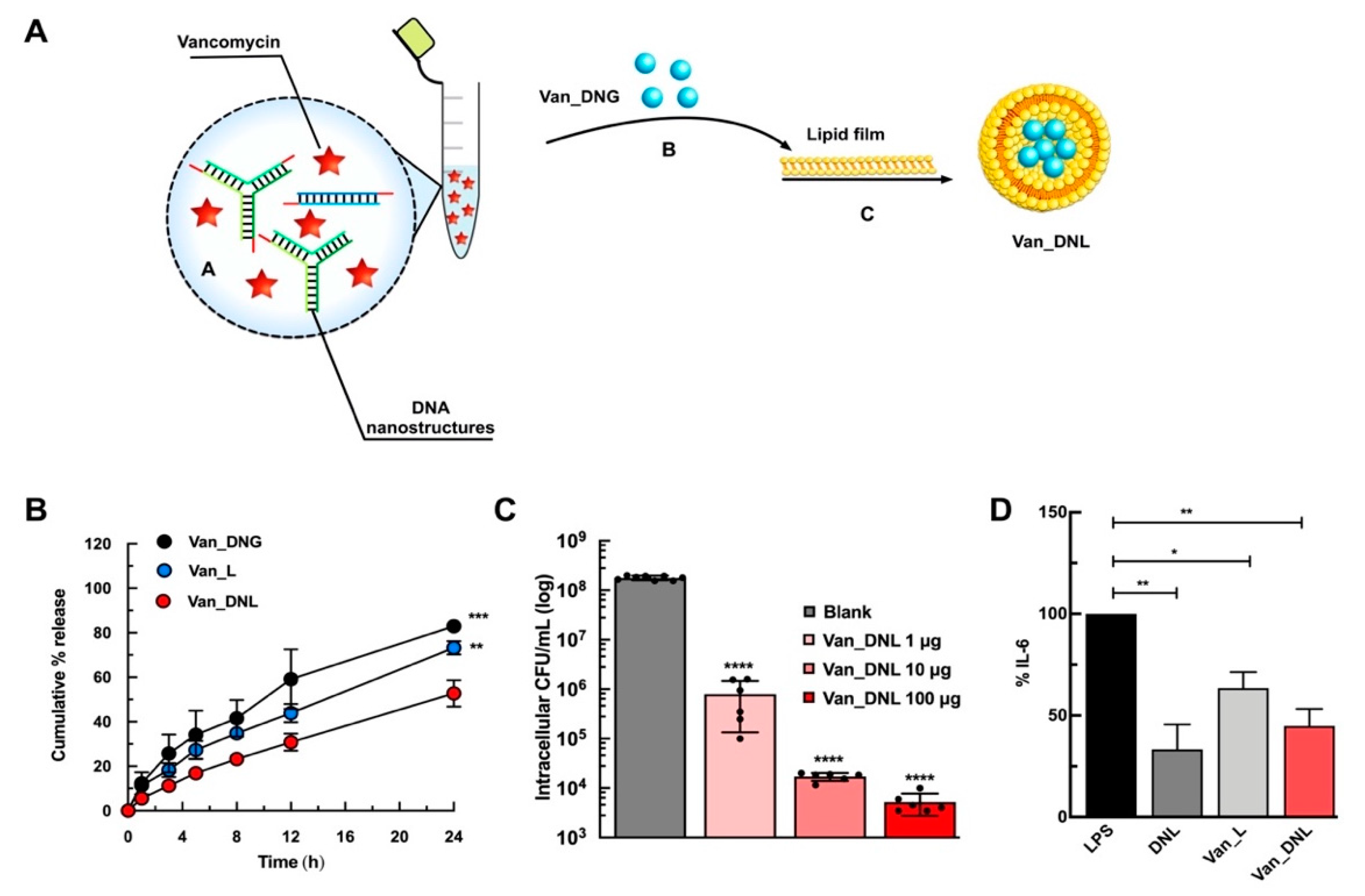 Pharmaceutics 12 00643 g007