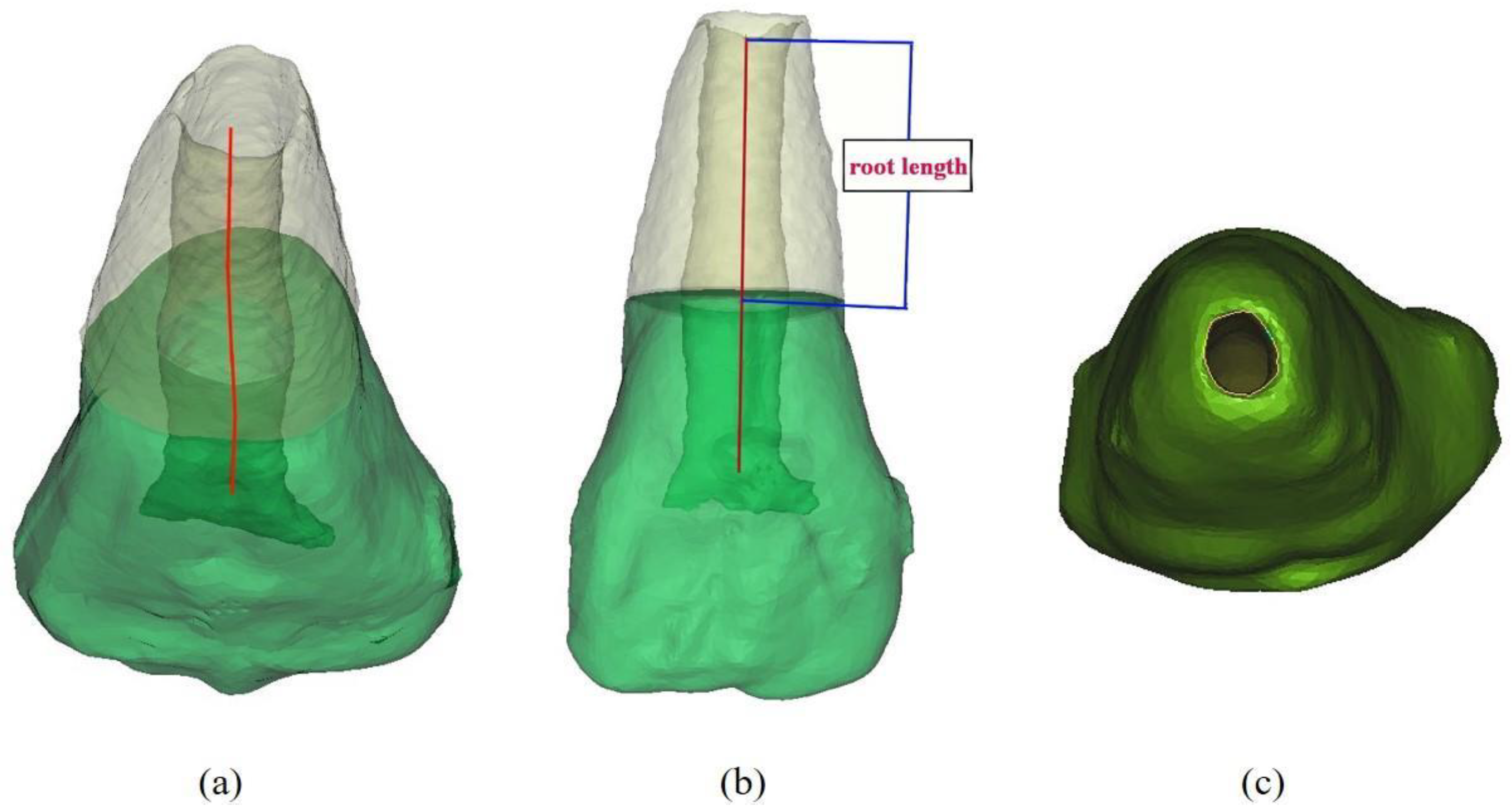 Pharmaceutics 12 00644 g001