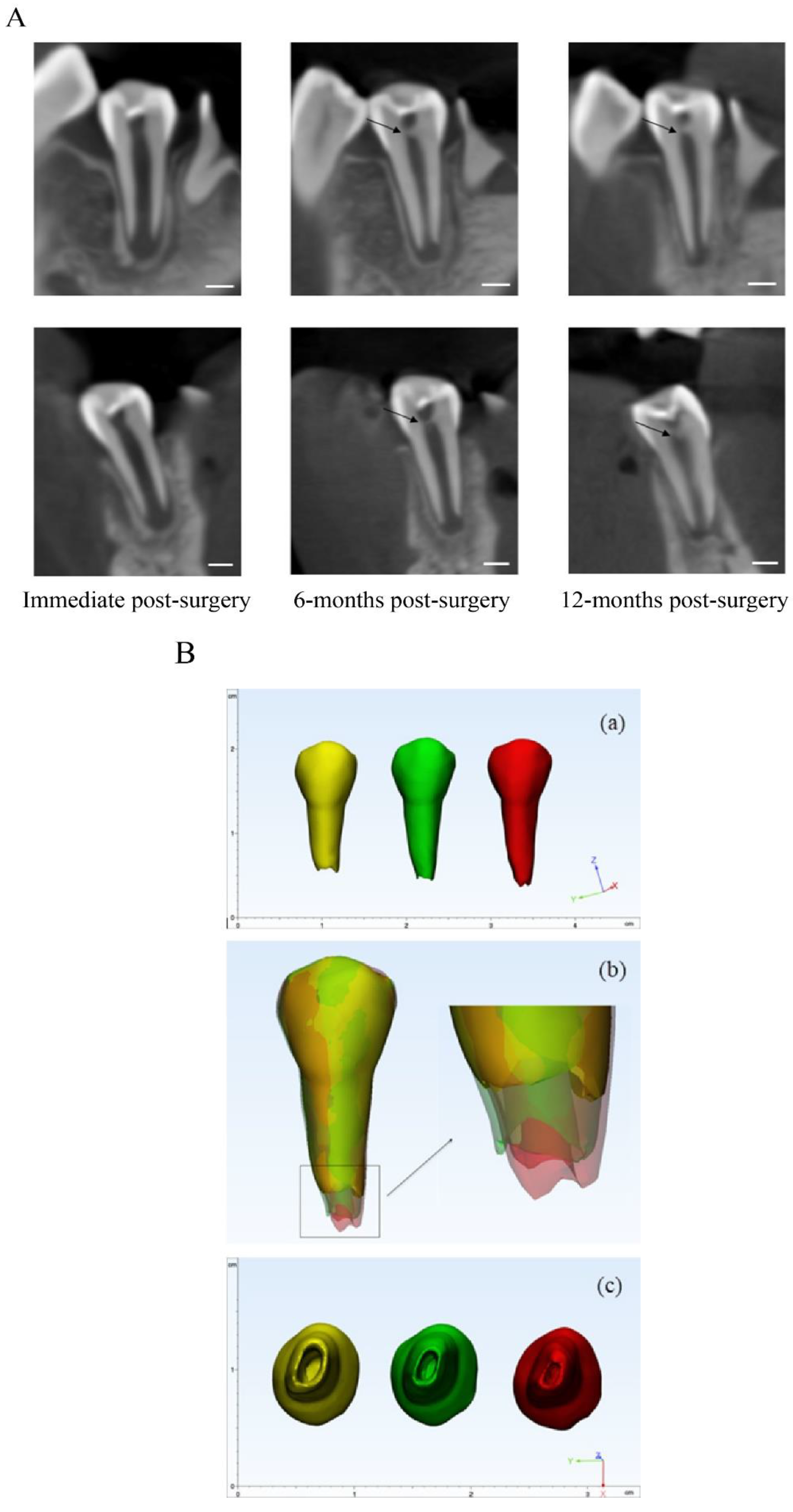 Pharmaceutics 12 00644 g004